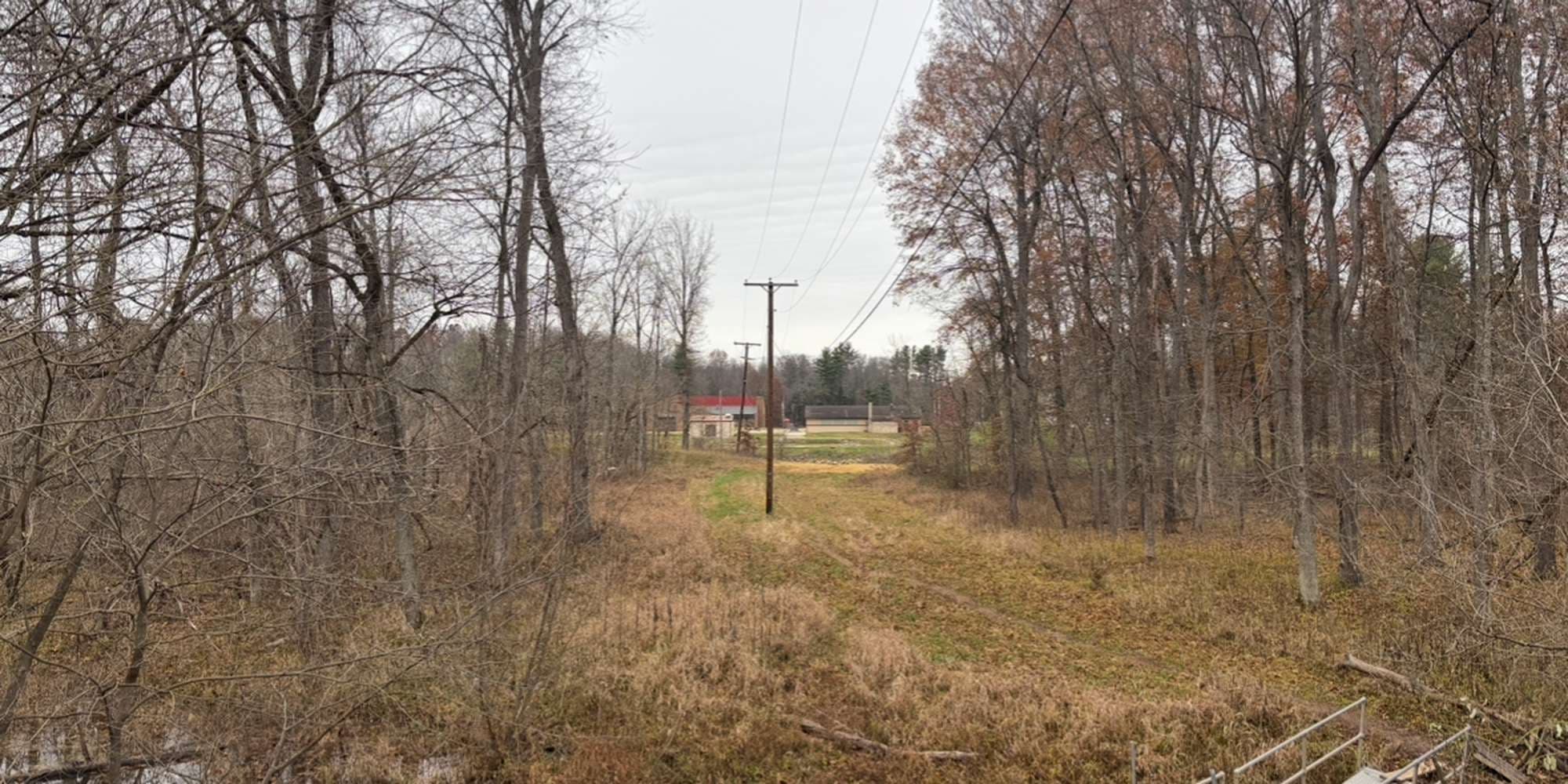 Second image to compare