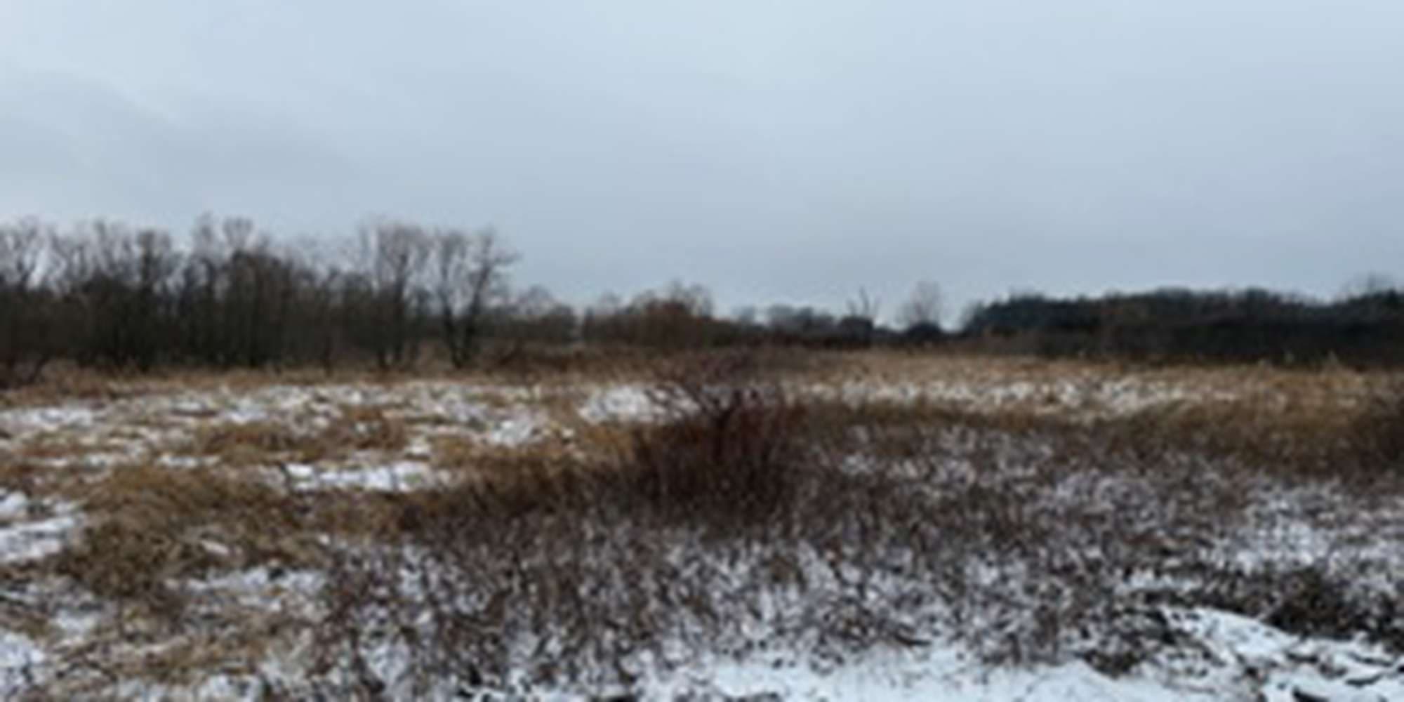 Second image to compare