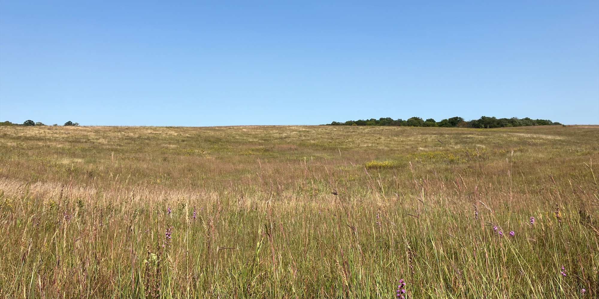 First image to compare