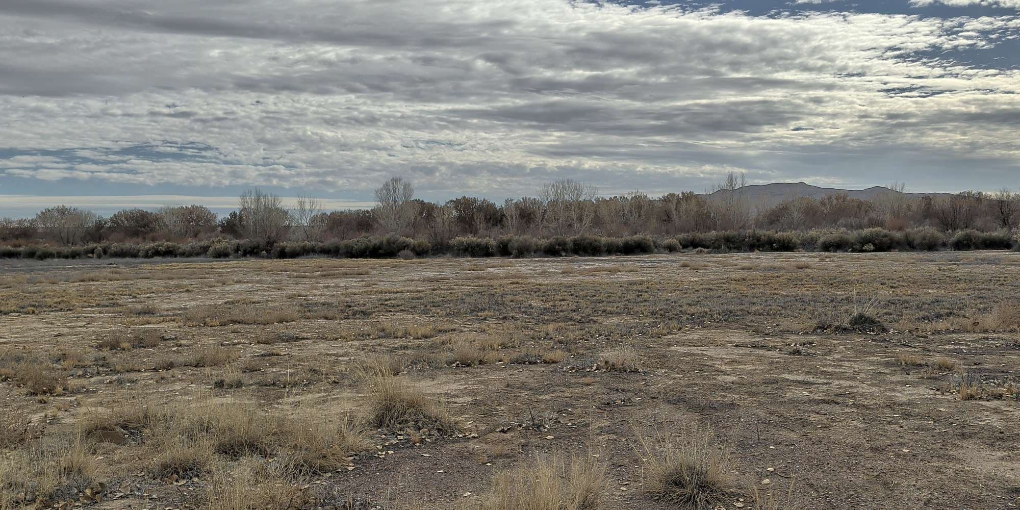 Second image to compare