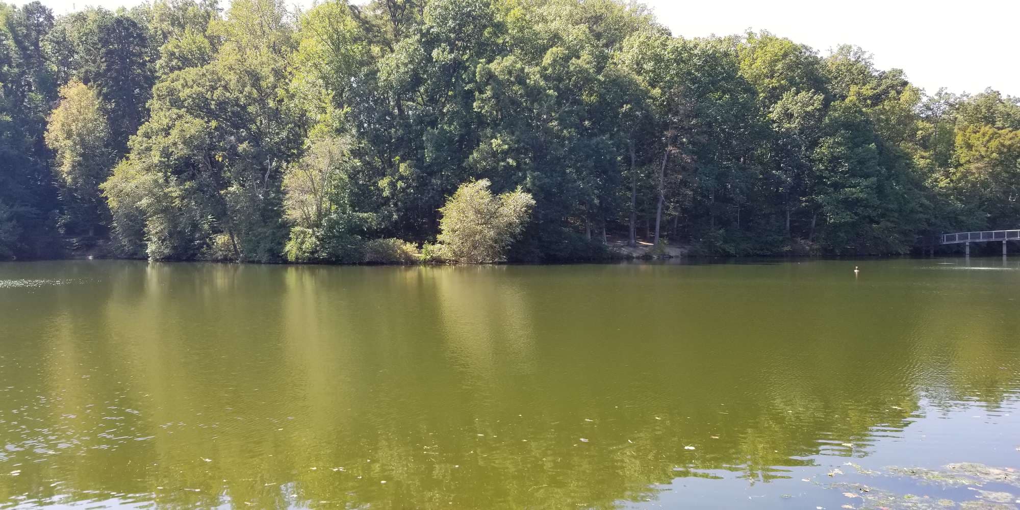 First image to compare