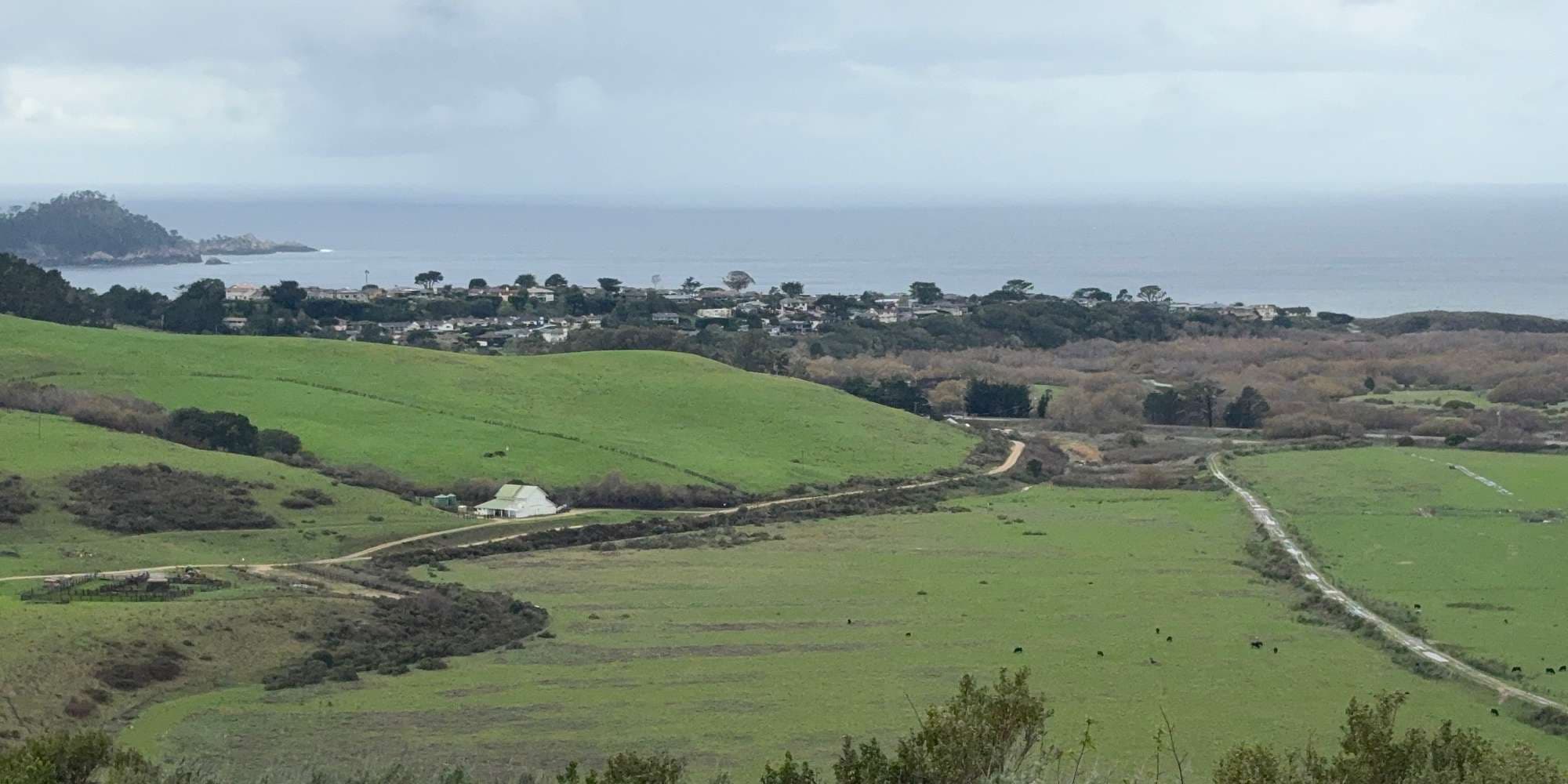 Second image to compare