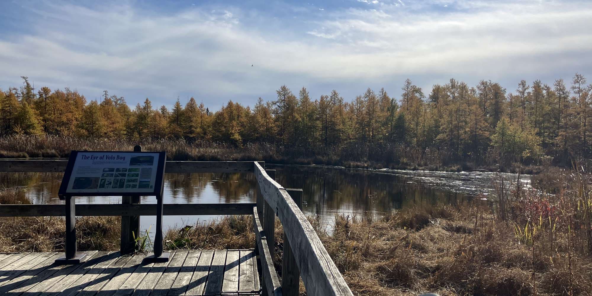 First image to compare