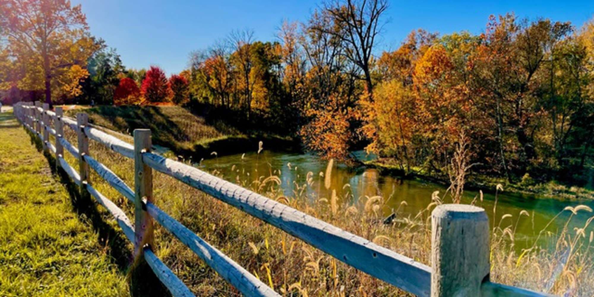 First image to compare