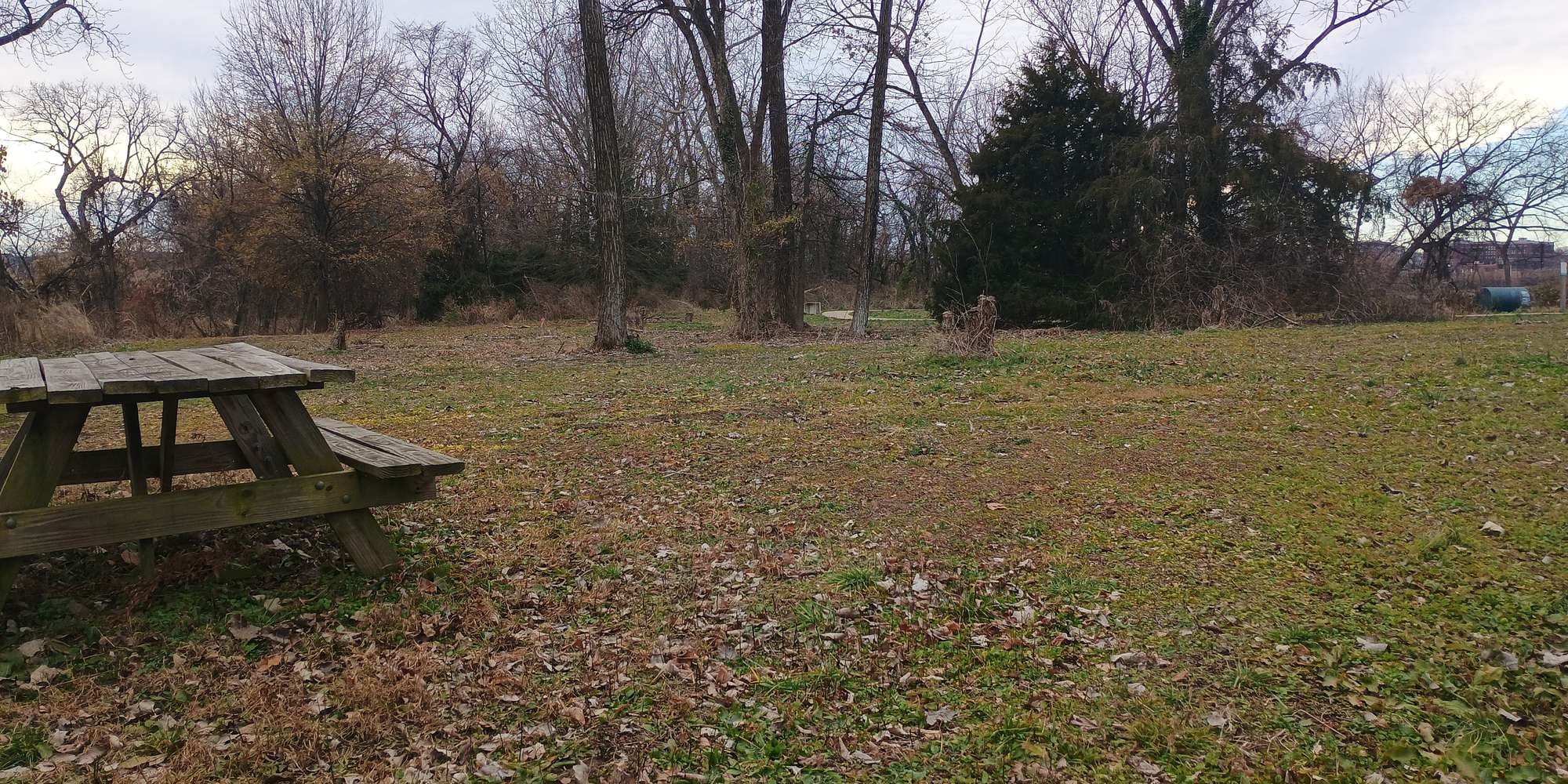 Second image to compare