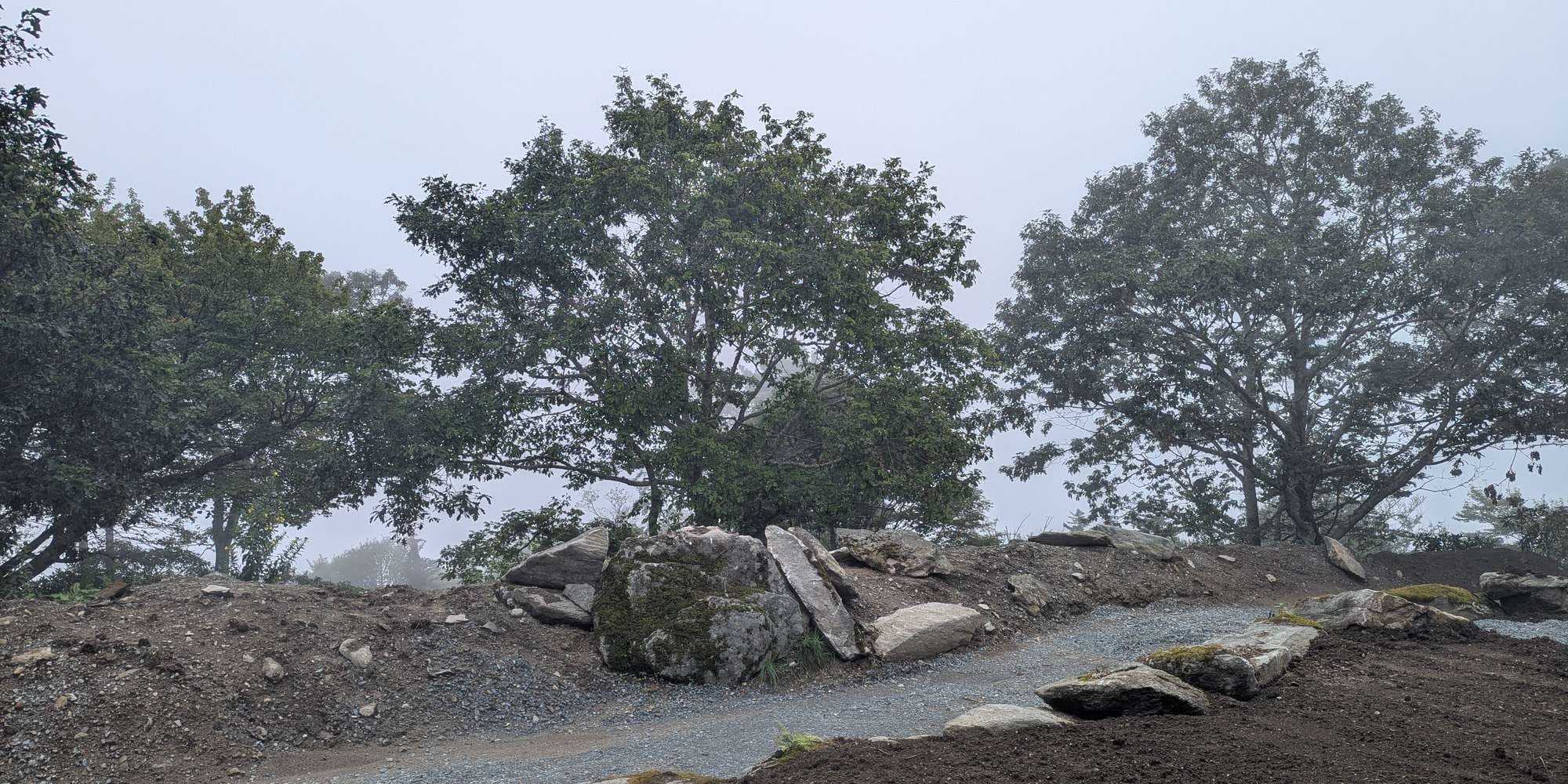 First image to compare