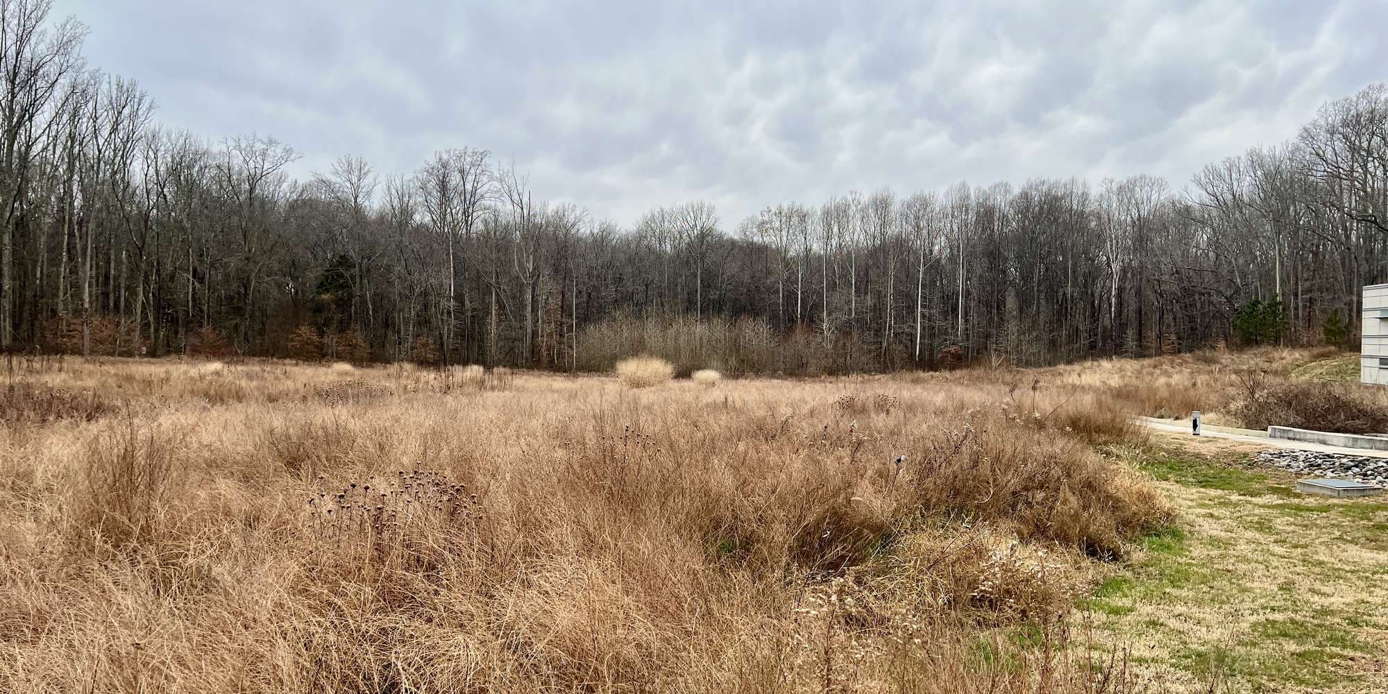 Second image to compare