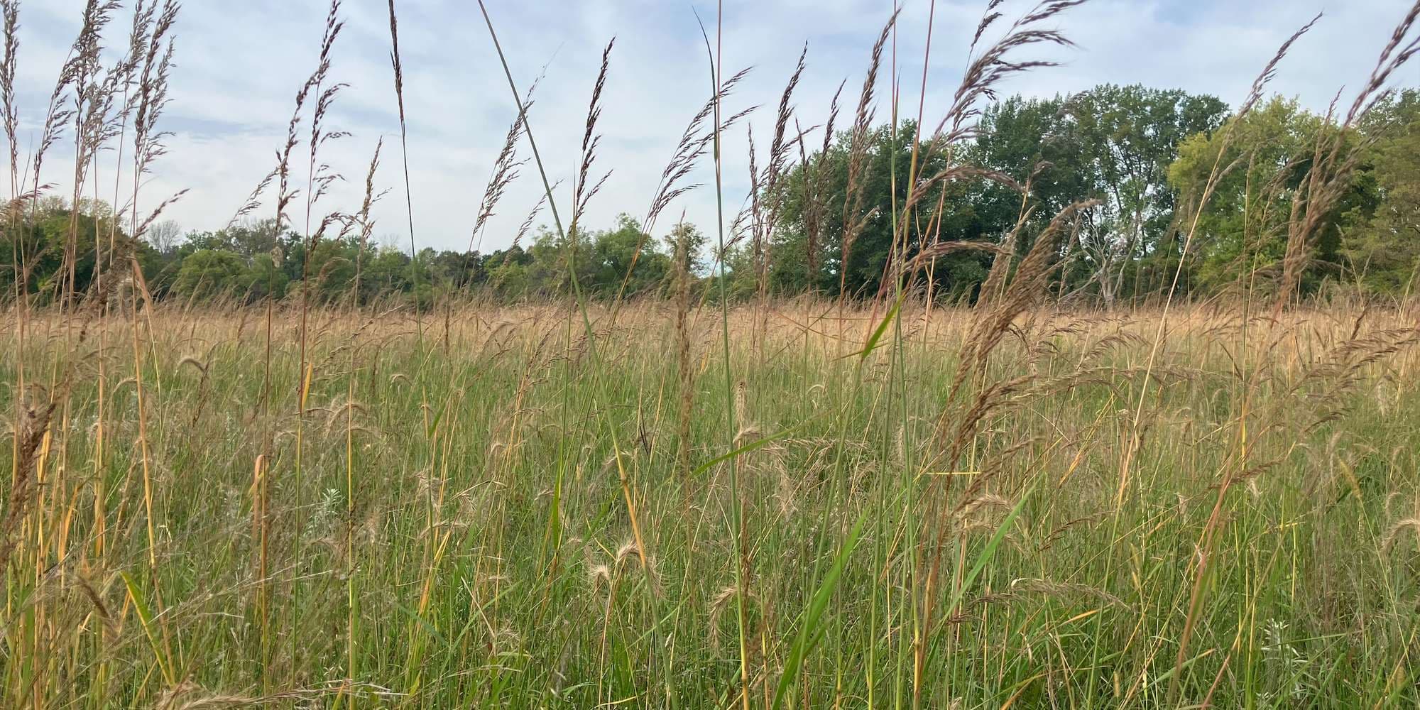 First image to compare