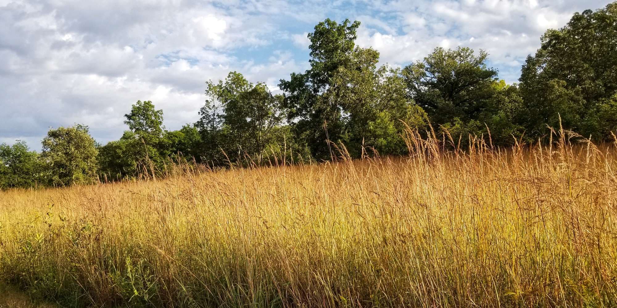 First image to compare