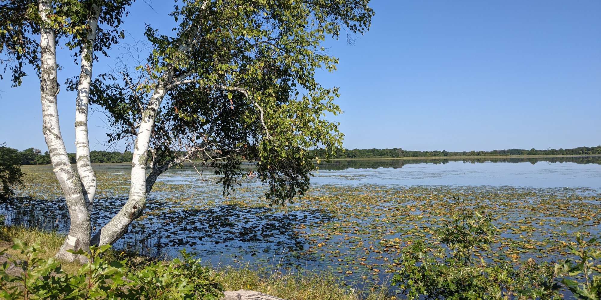 First image to compare