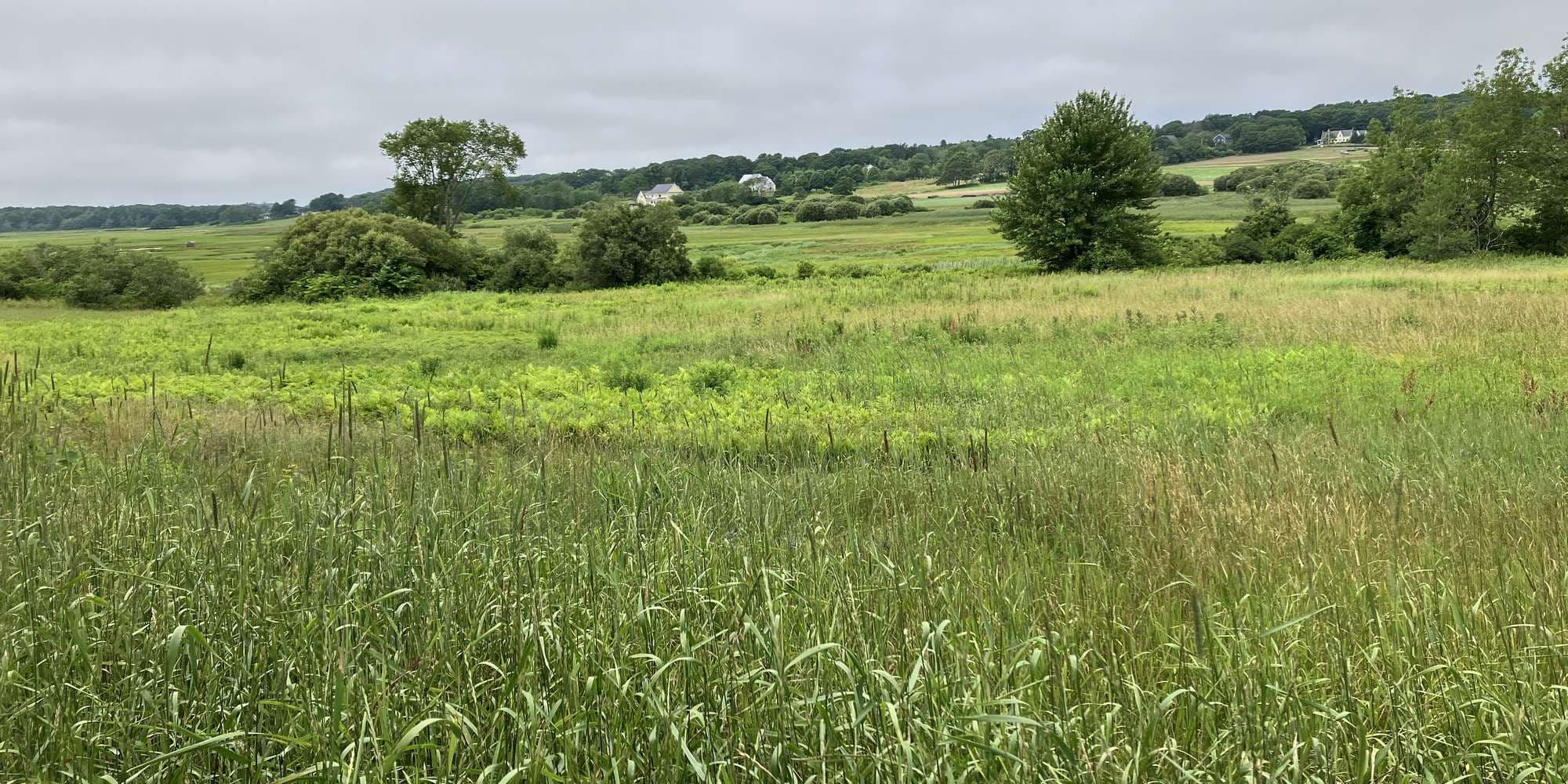 Second image to compare