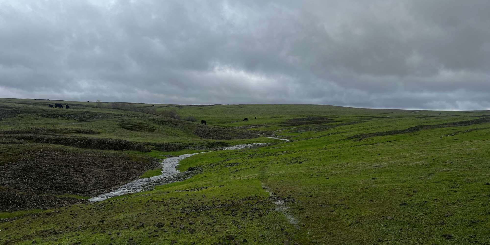 Second image to compare