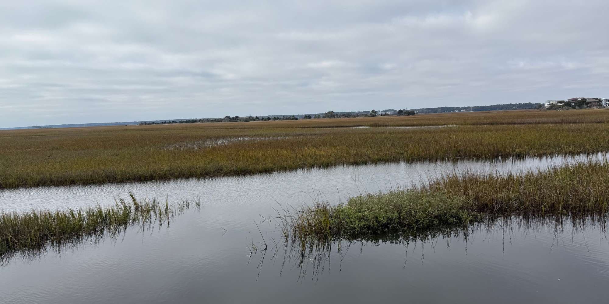 Second image to compare