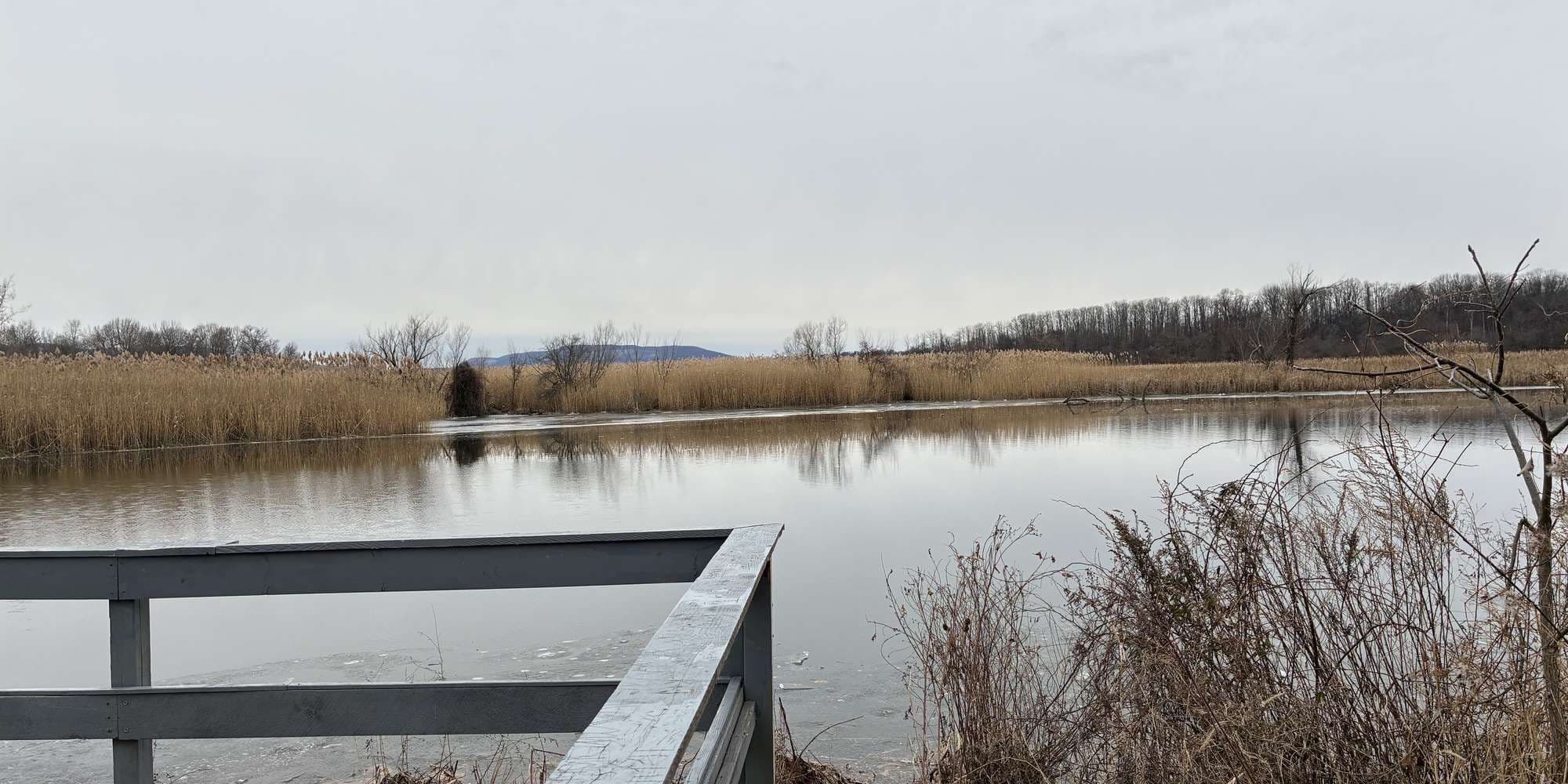 Second image to compare