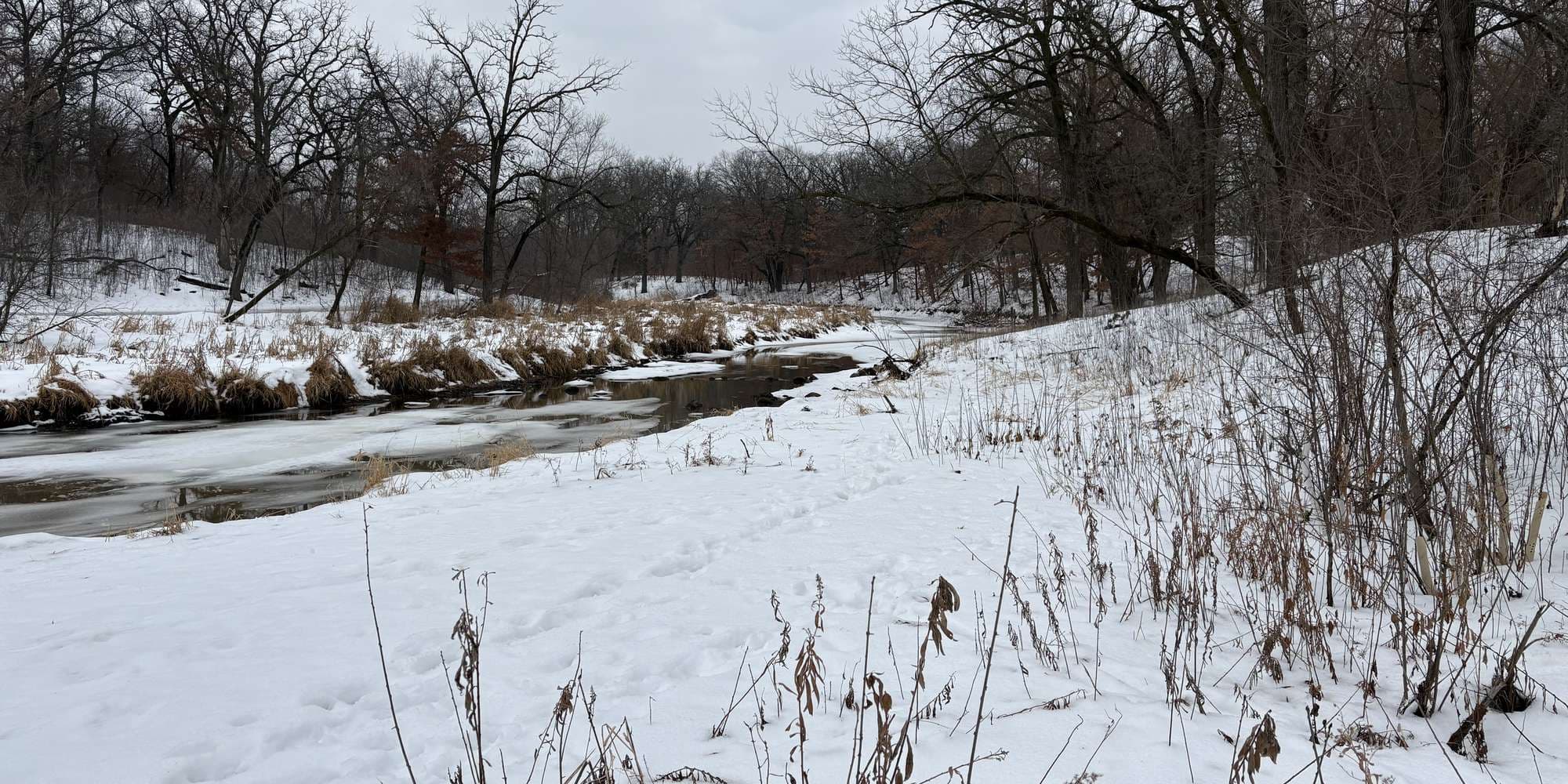 Second image to compare