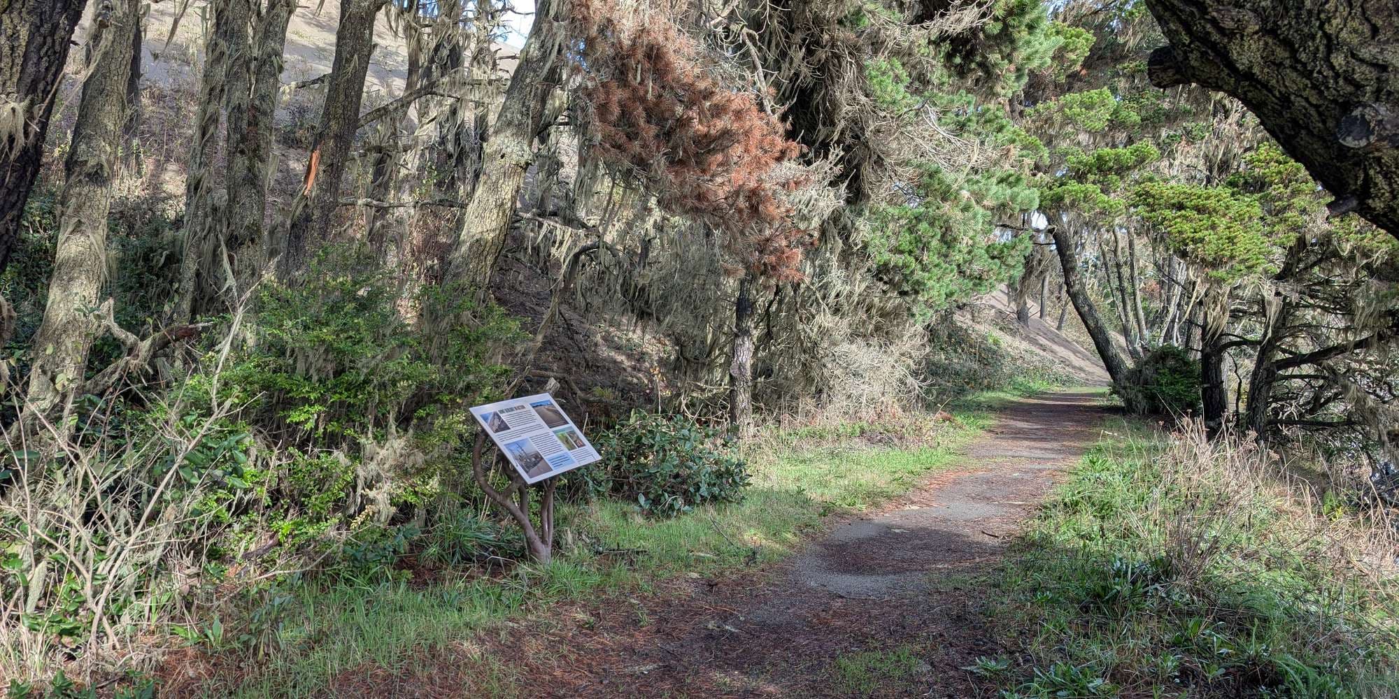 Second image to compare