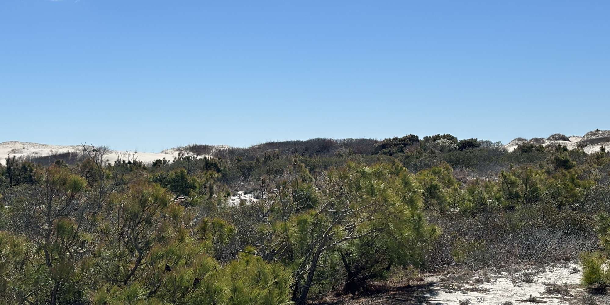 First image to compare