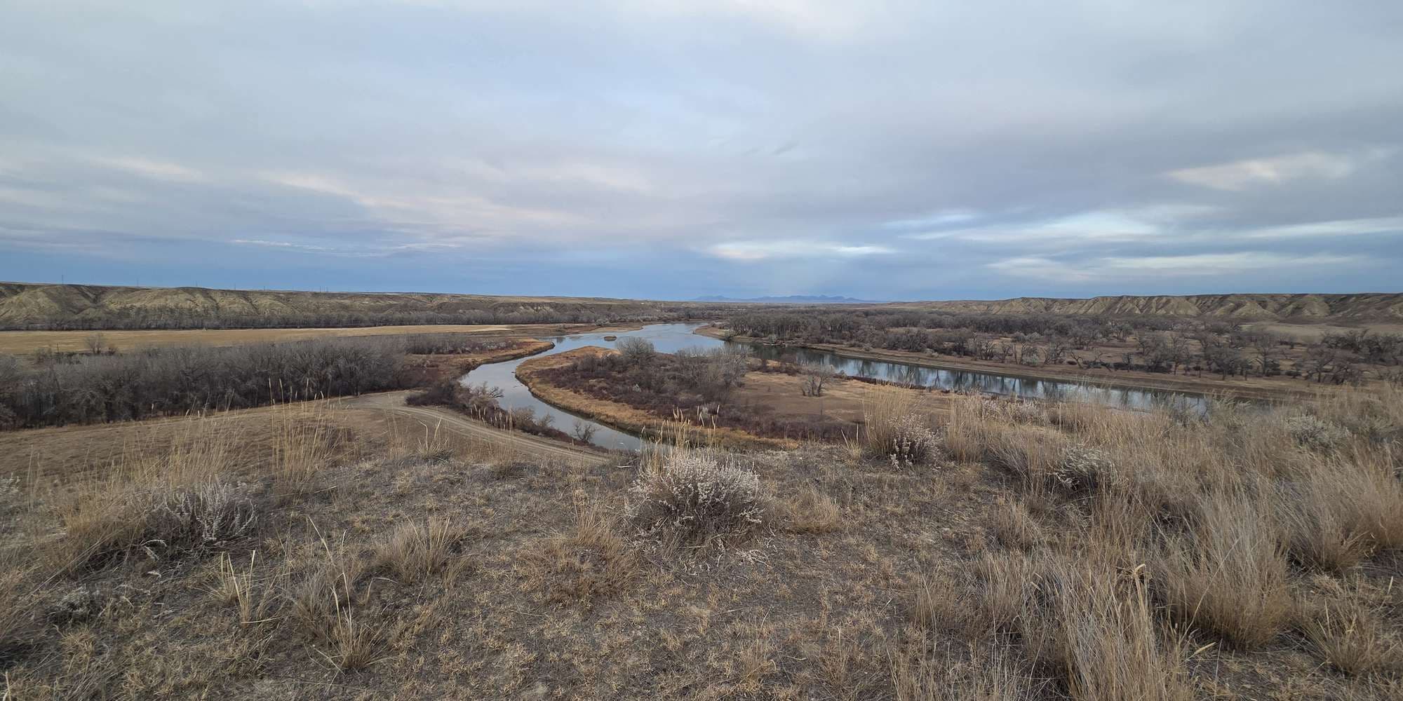 Second image to compare