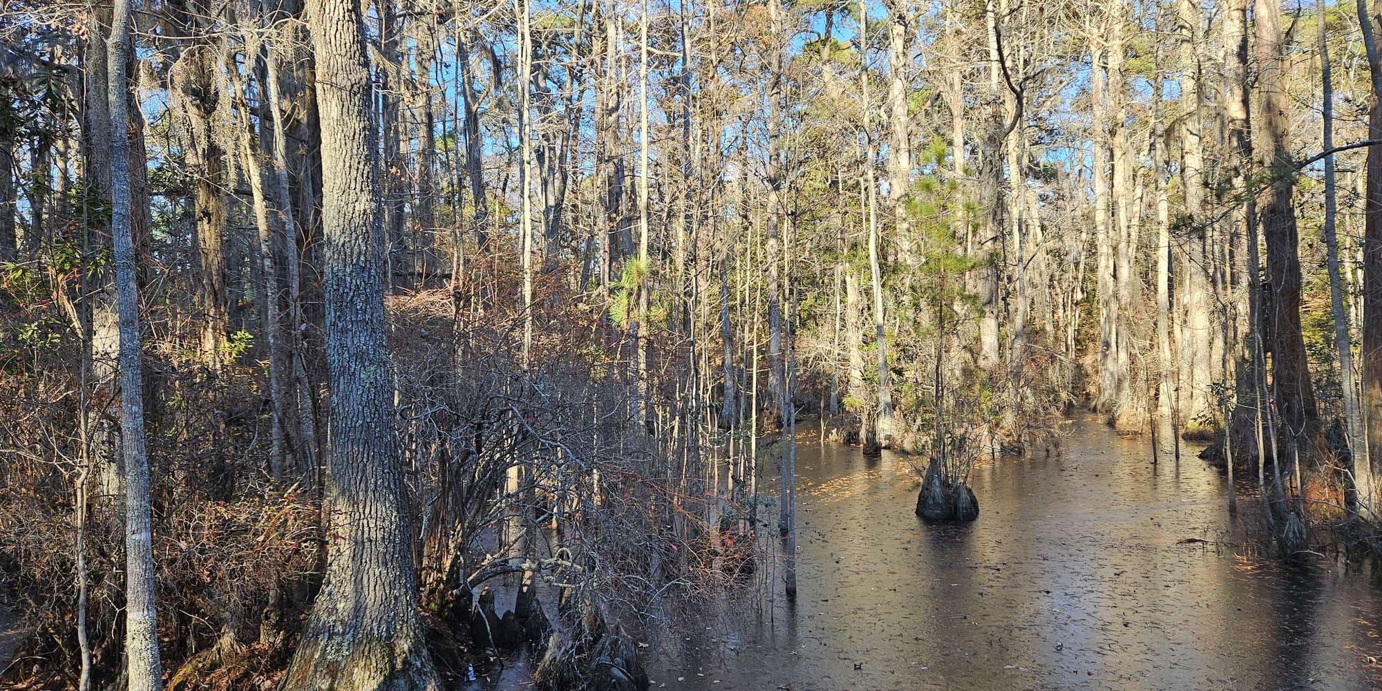 Second image to compare