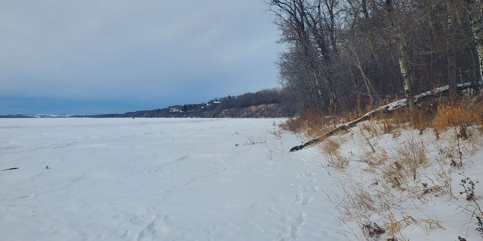 Second image to compare