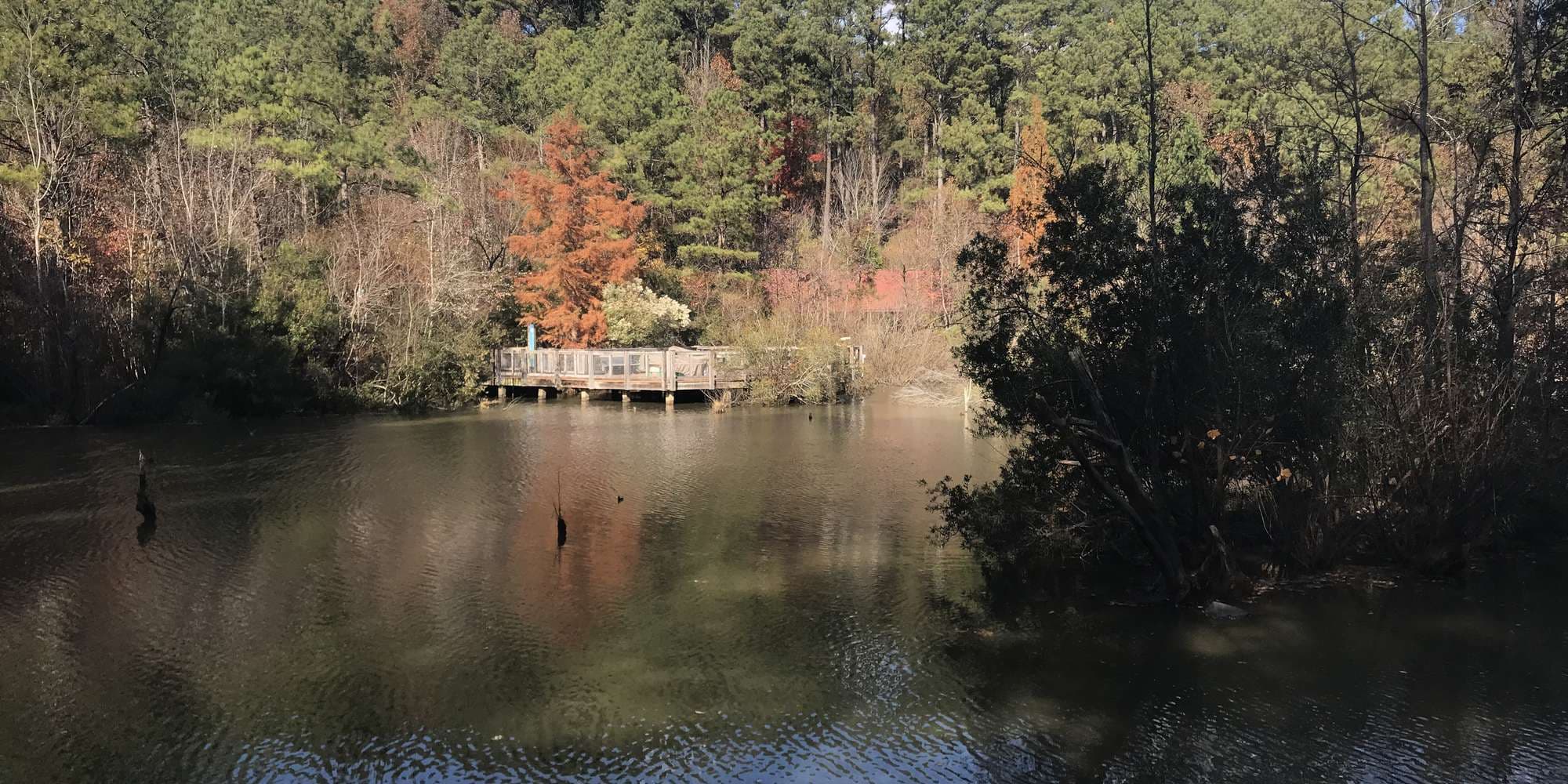 First image to compare