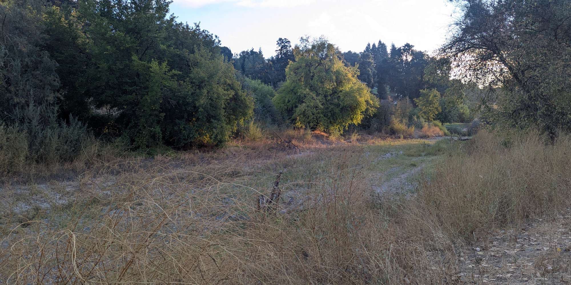 Second image to compare