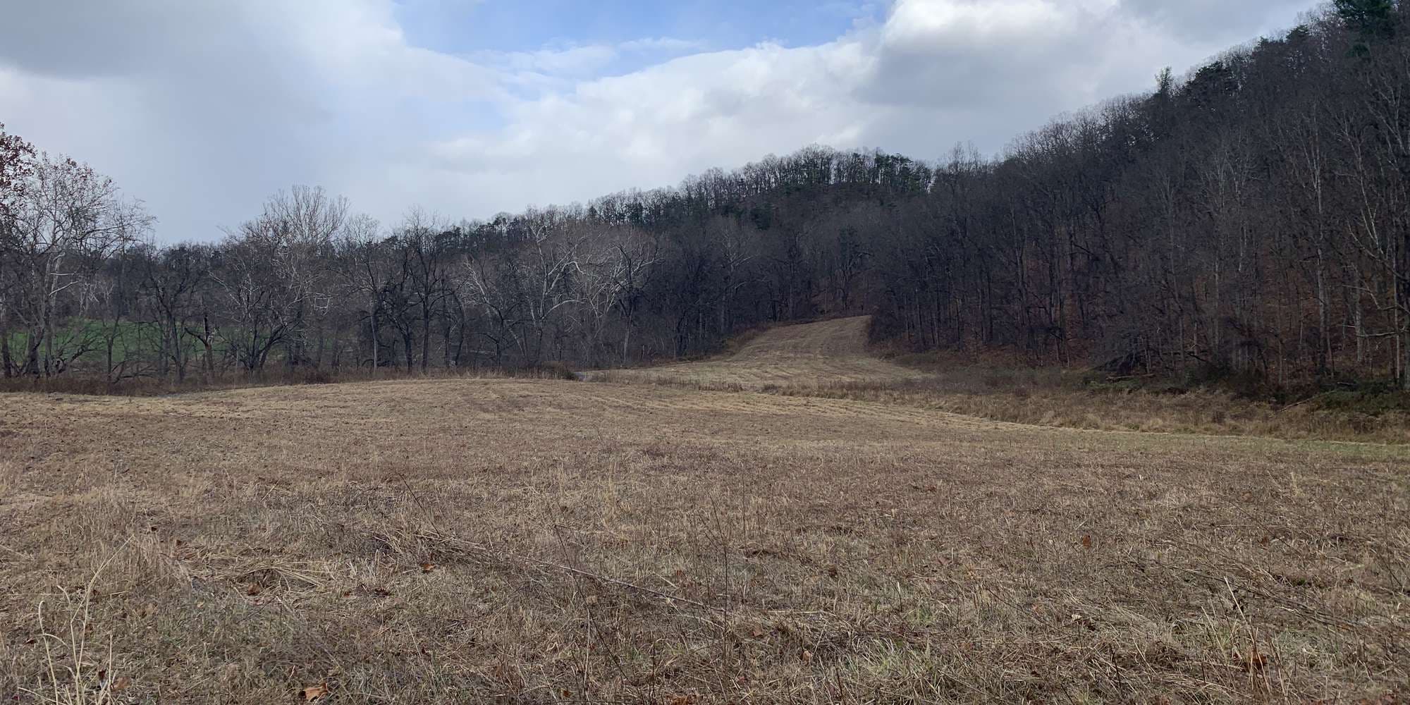 Second image to compare