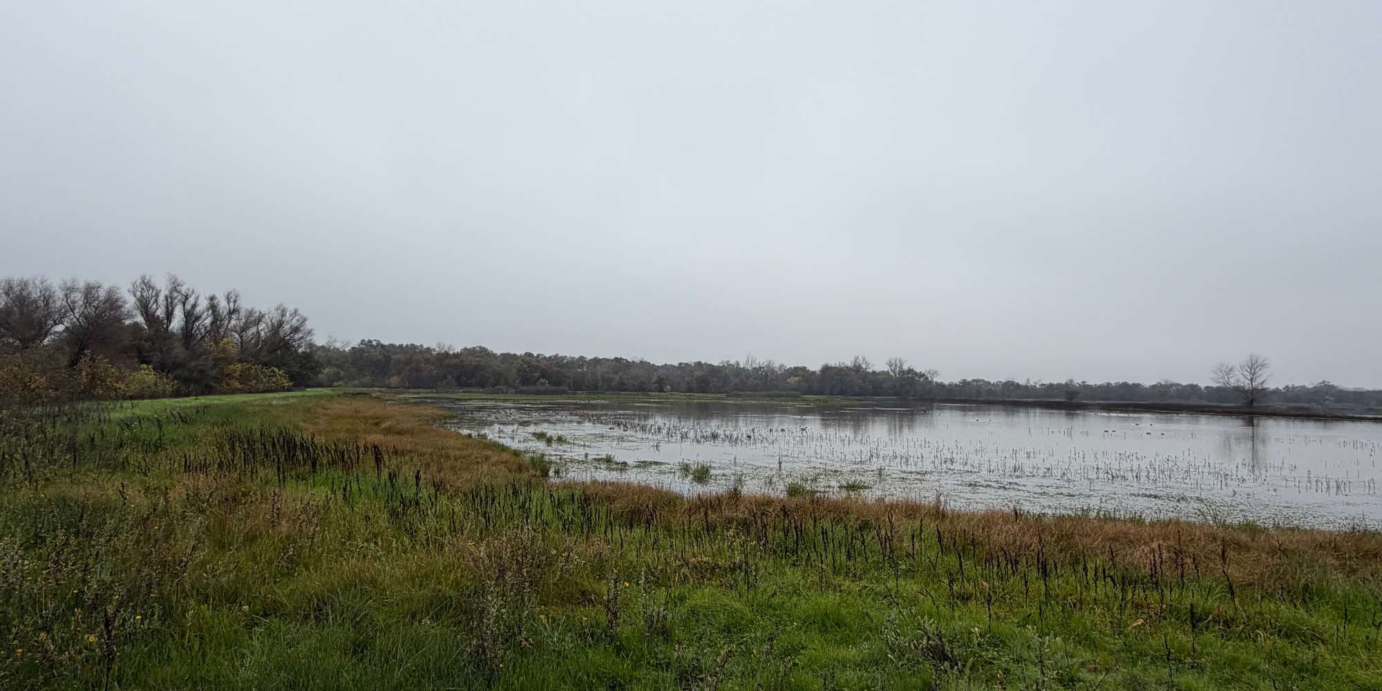 Second image to compare