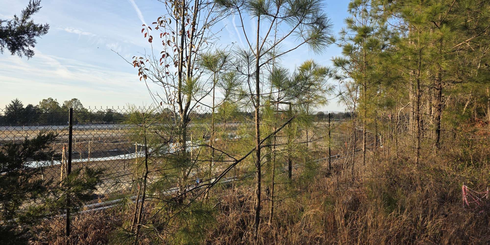 Second image to compare