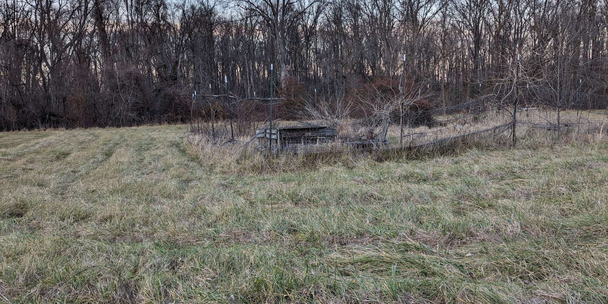 Second image to compare