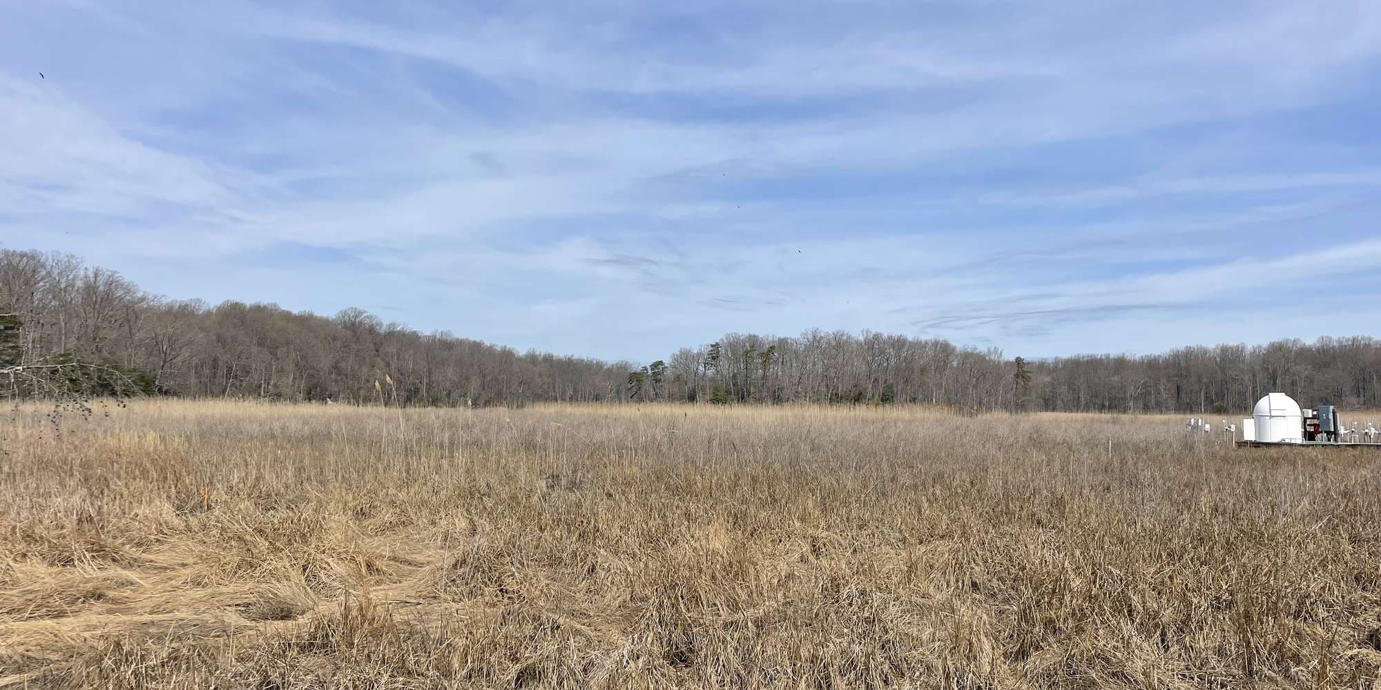 First image to compare