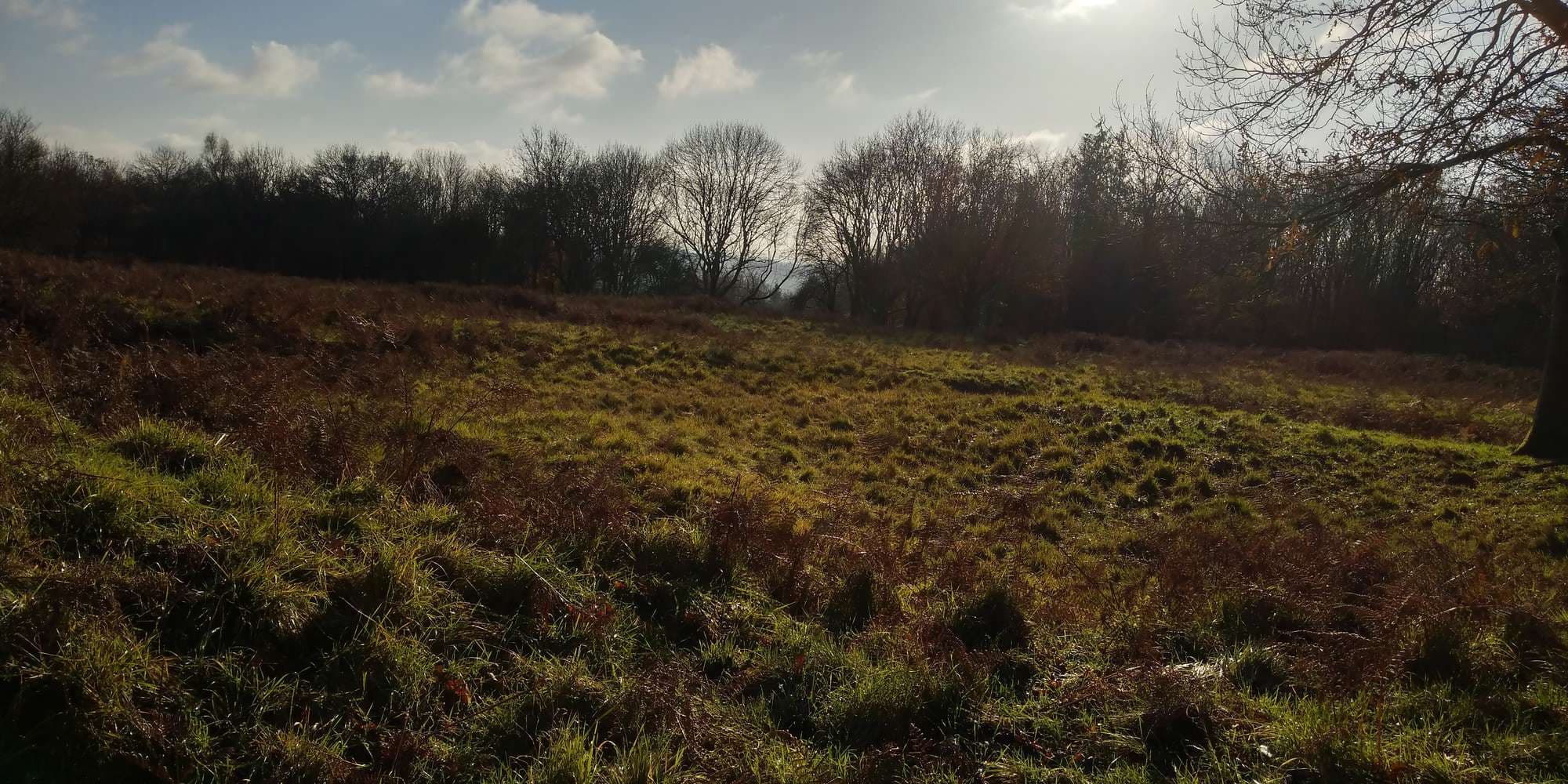 First image to compare