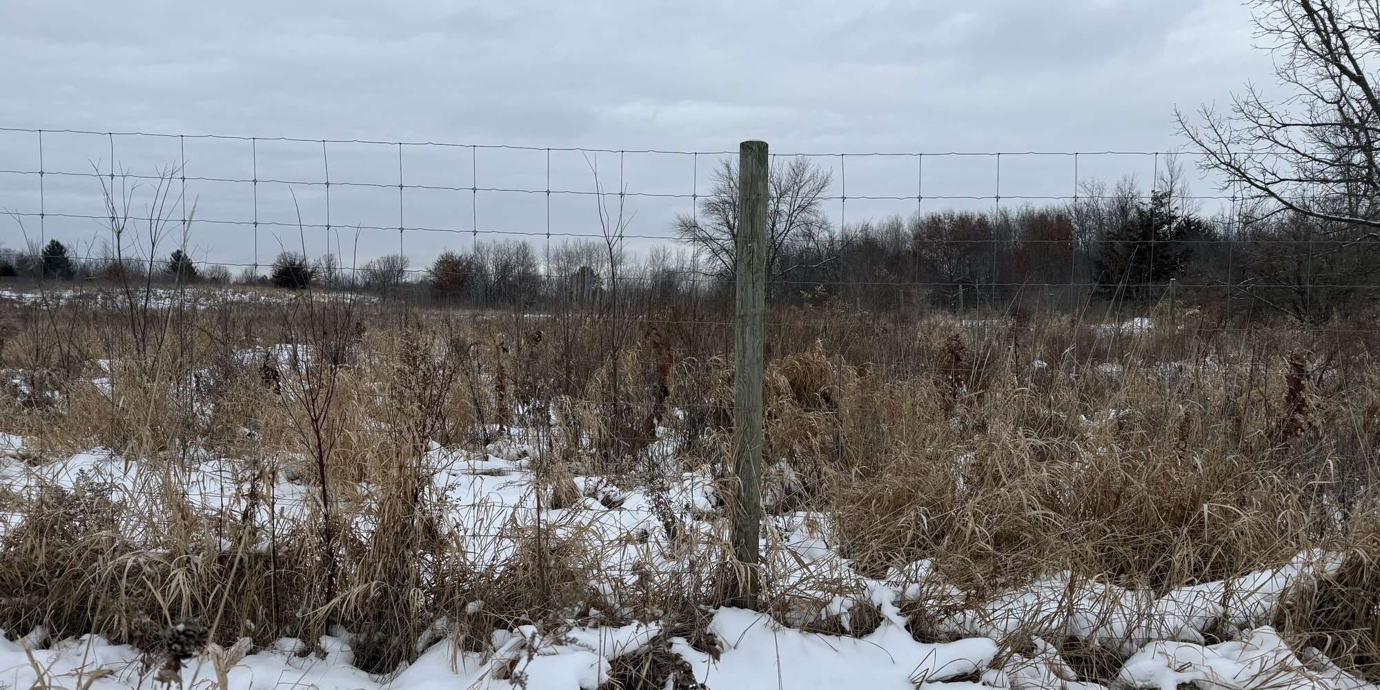 Second image to compare