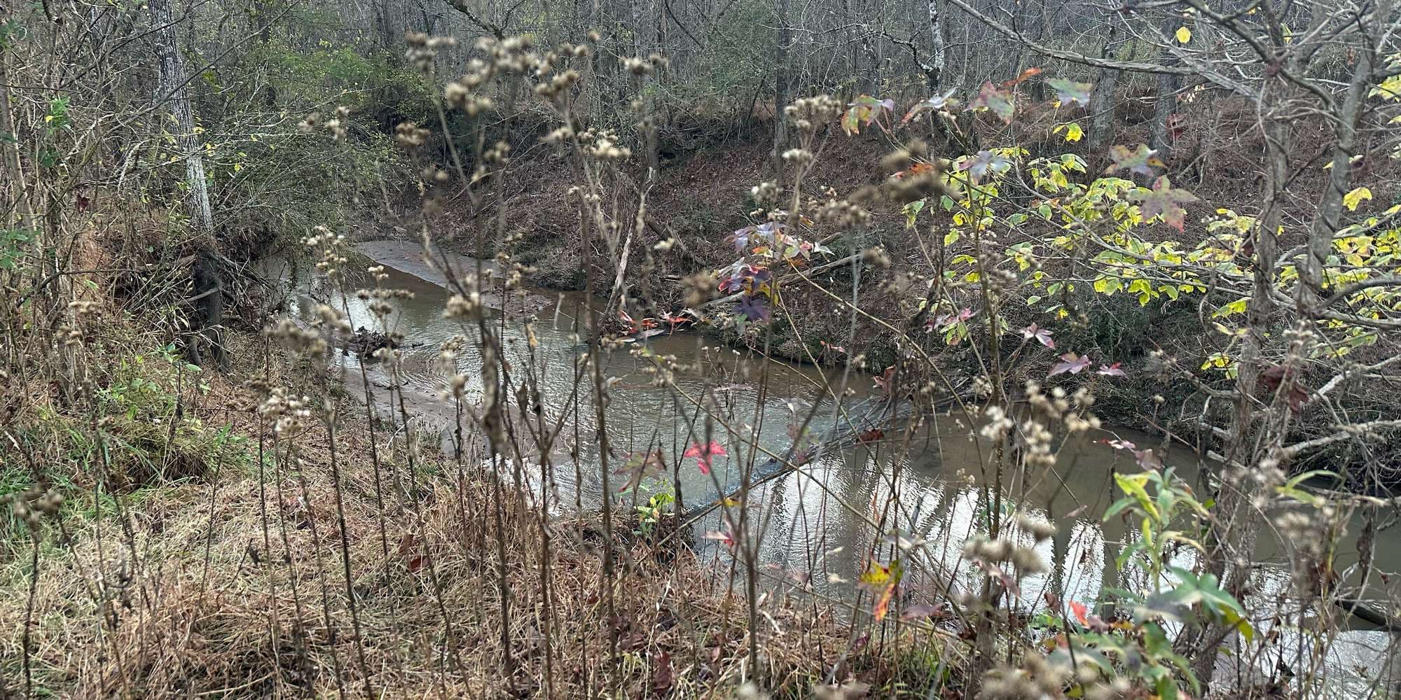 Second image to compare