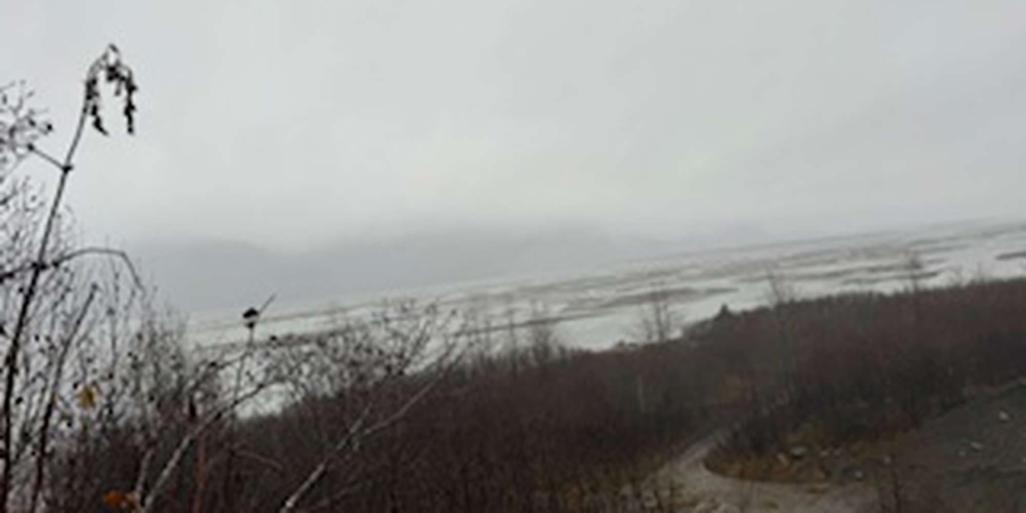 Second image to compare