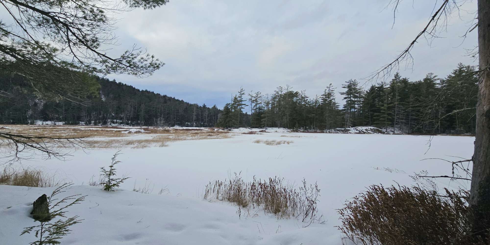 Second image to compare