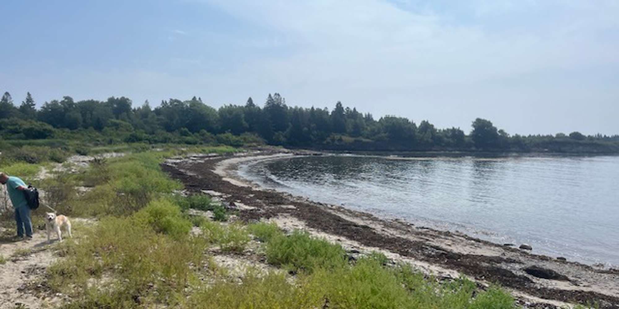 Second image to compare