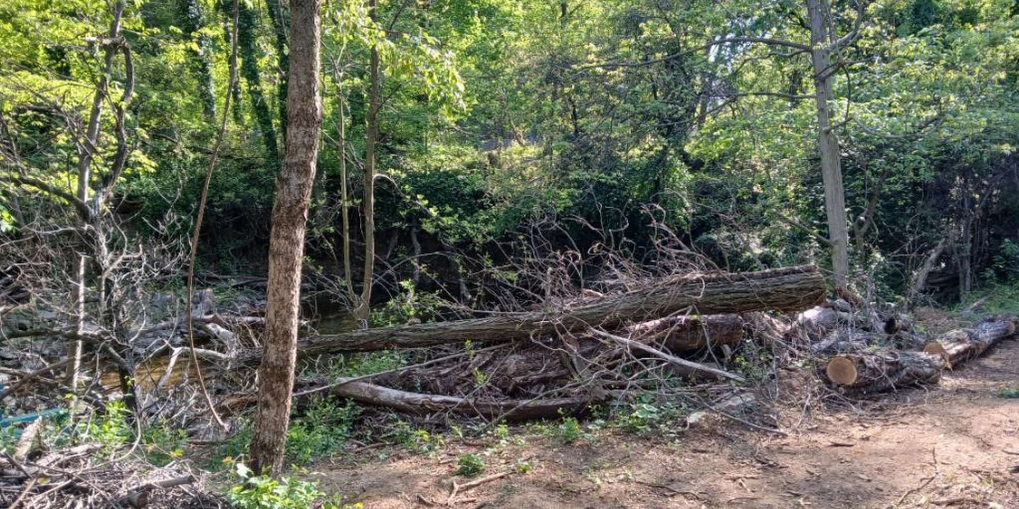 First image to compare