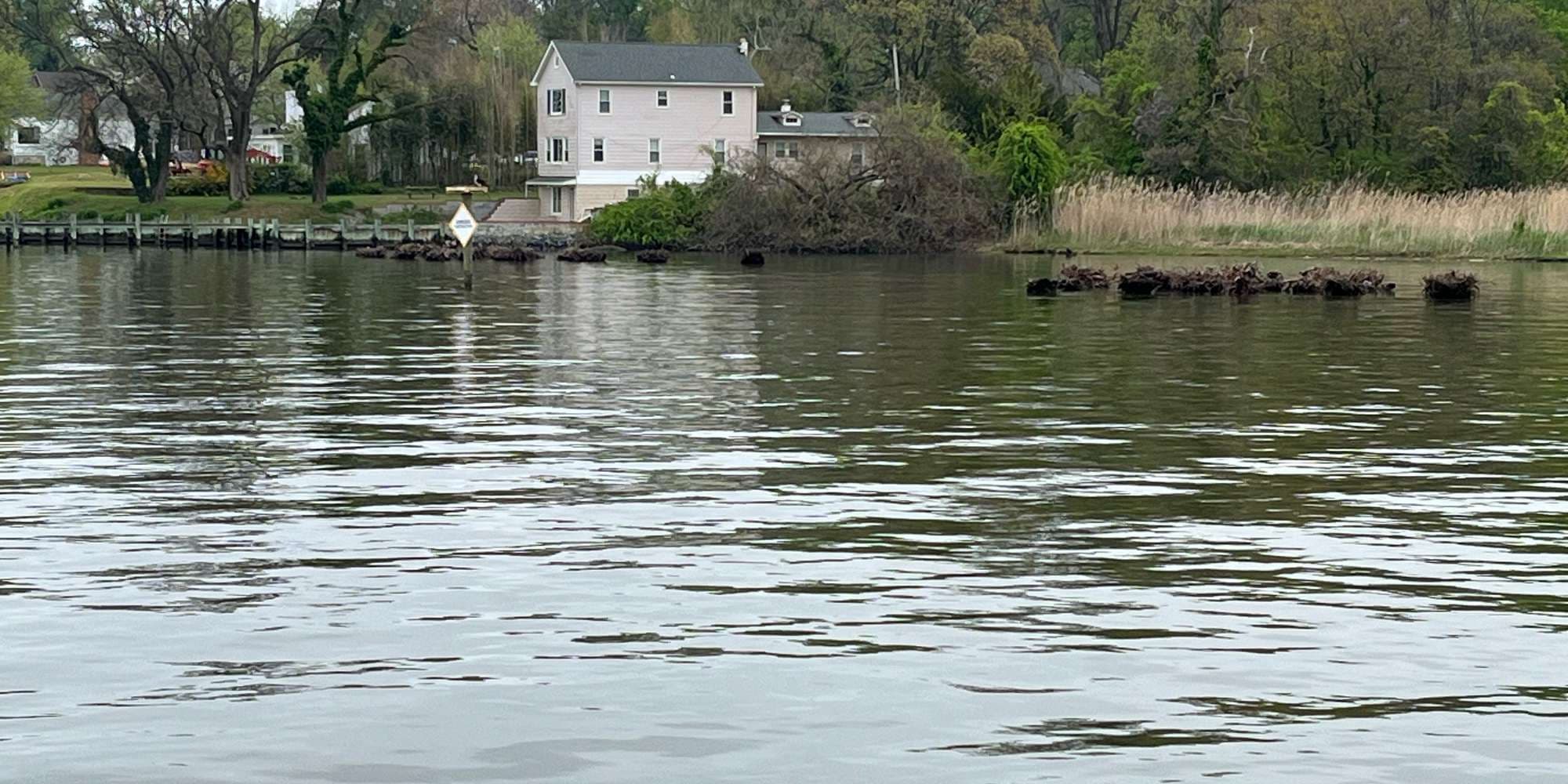 First image to compare