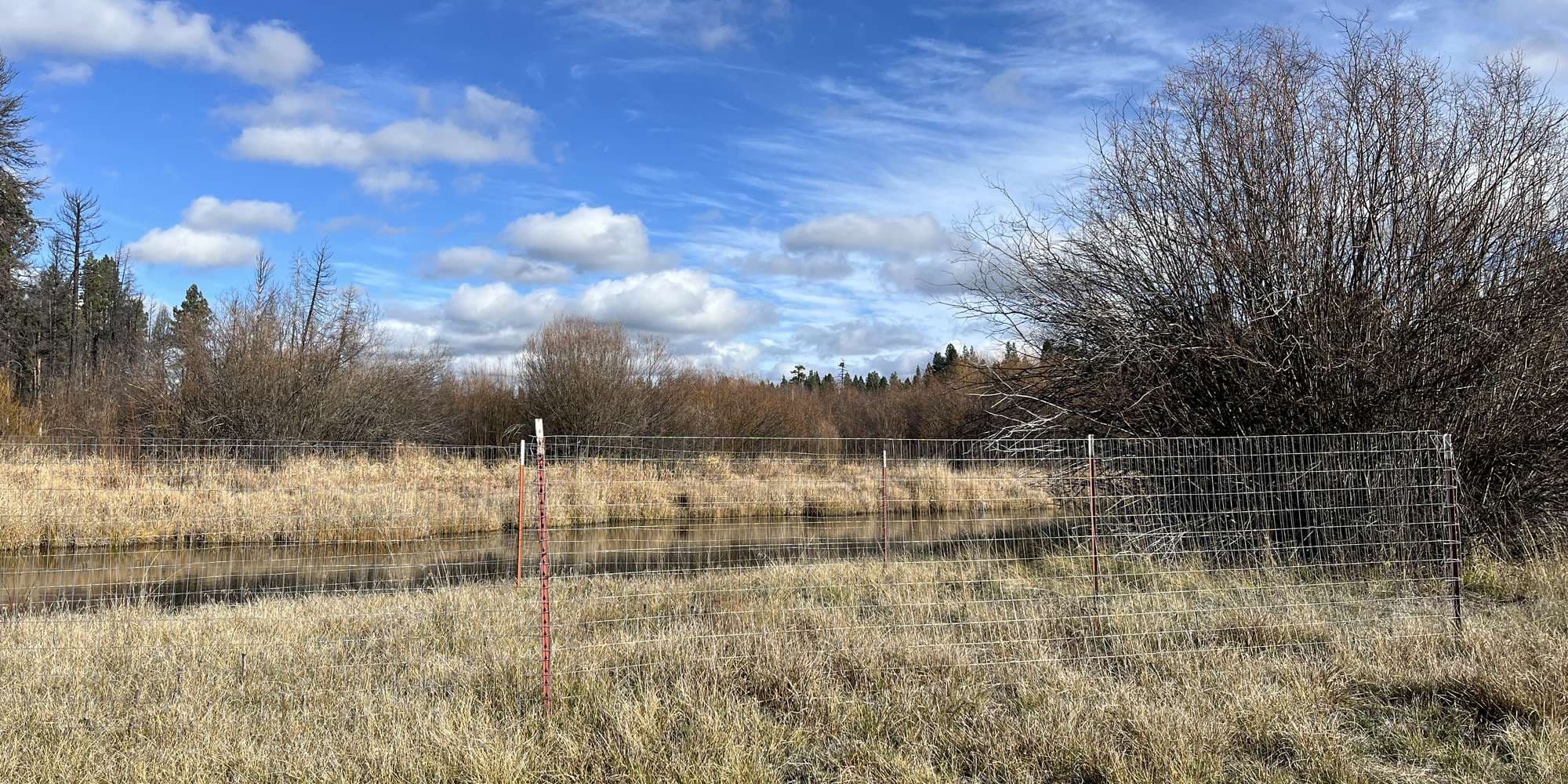 Second image to compare