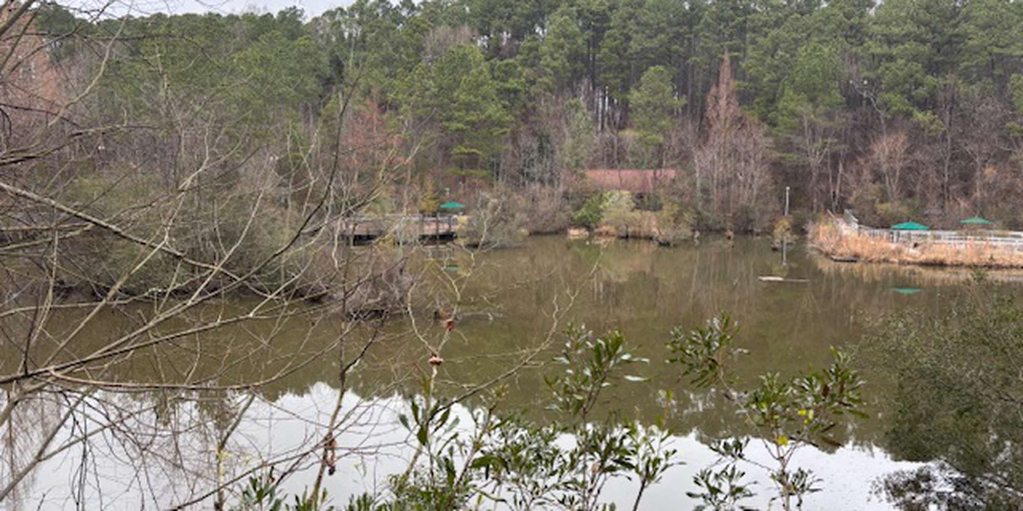 Second image to compare