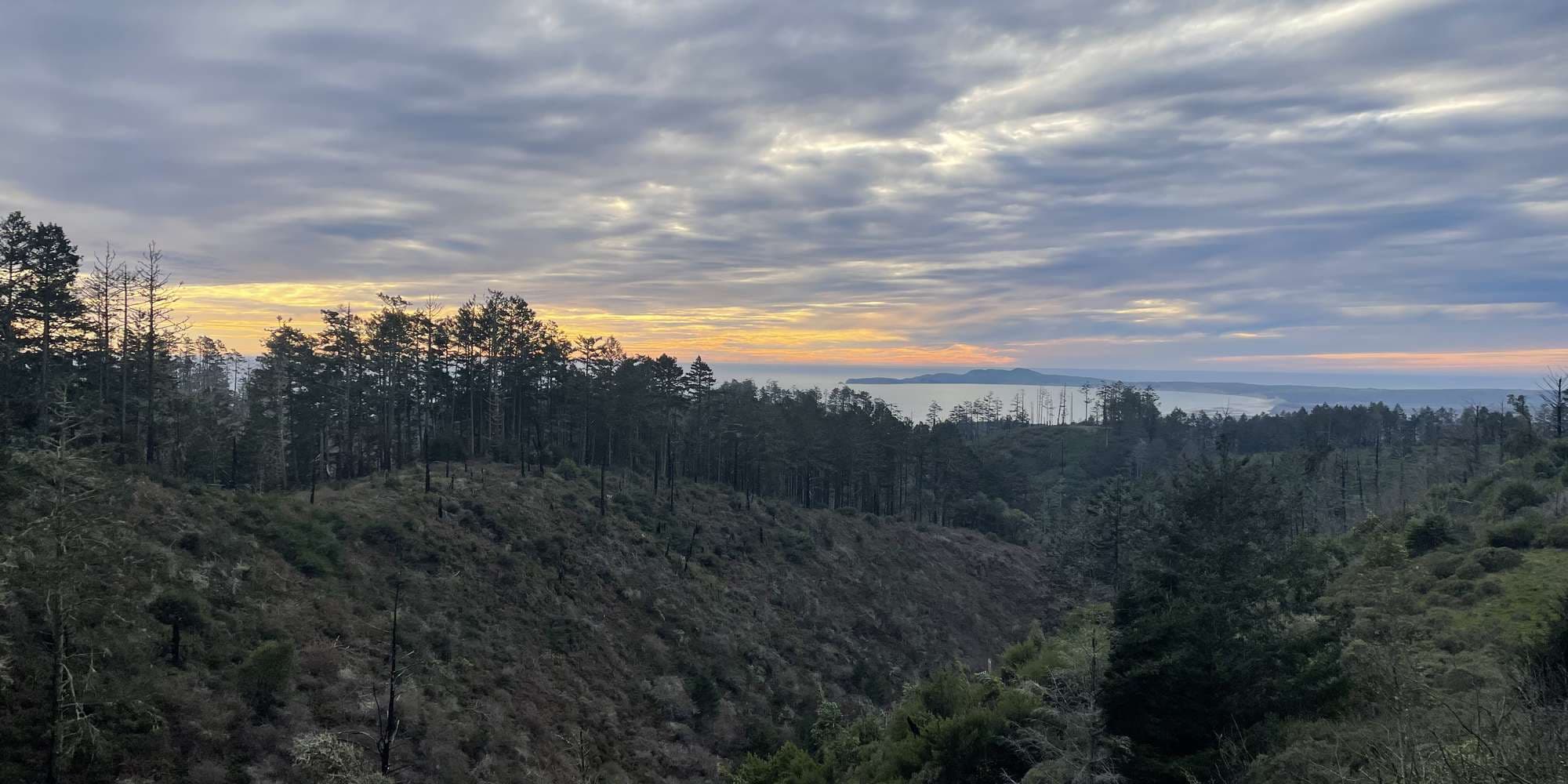 Second image to compare