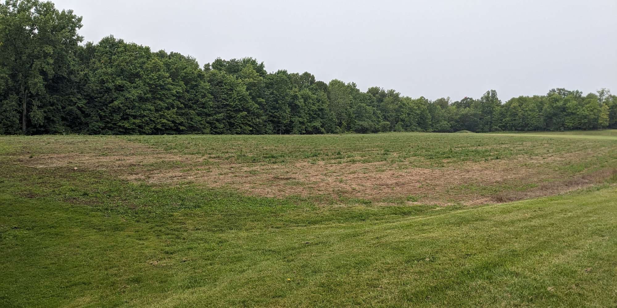 First image to compare