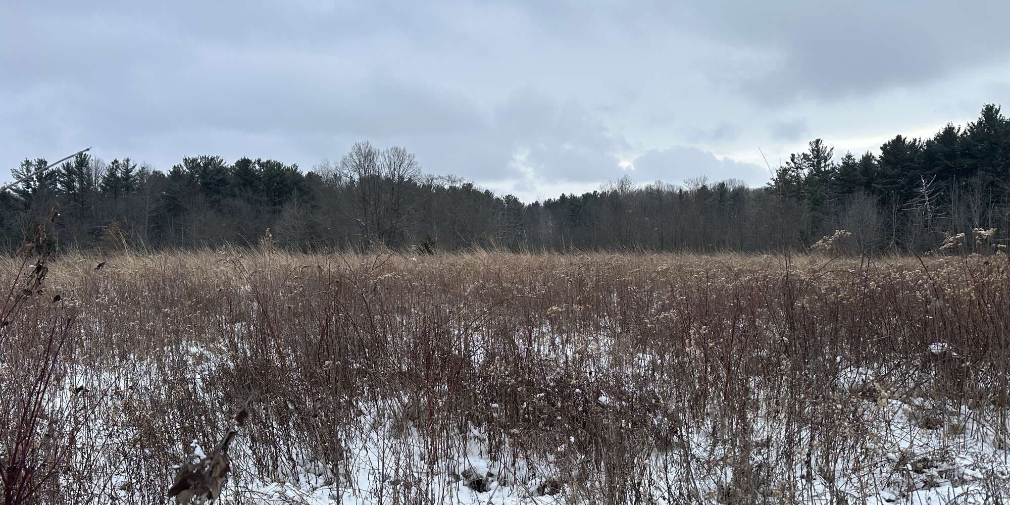 Second image to compare