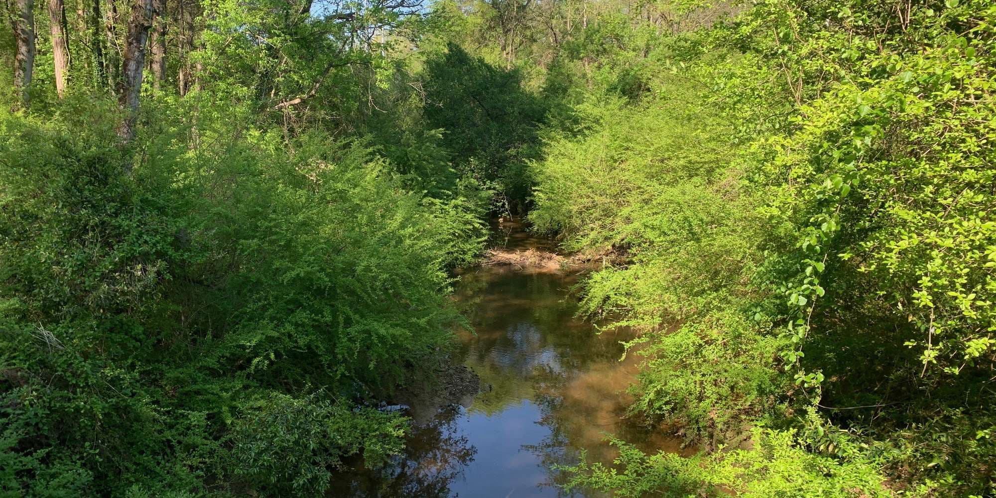 First image to compare