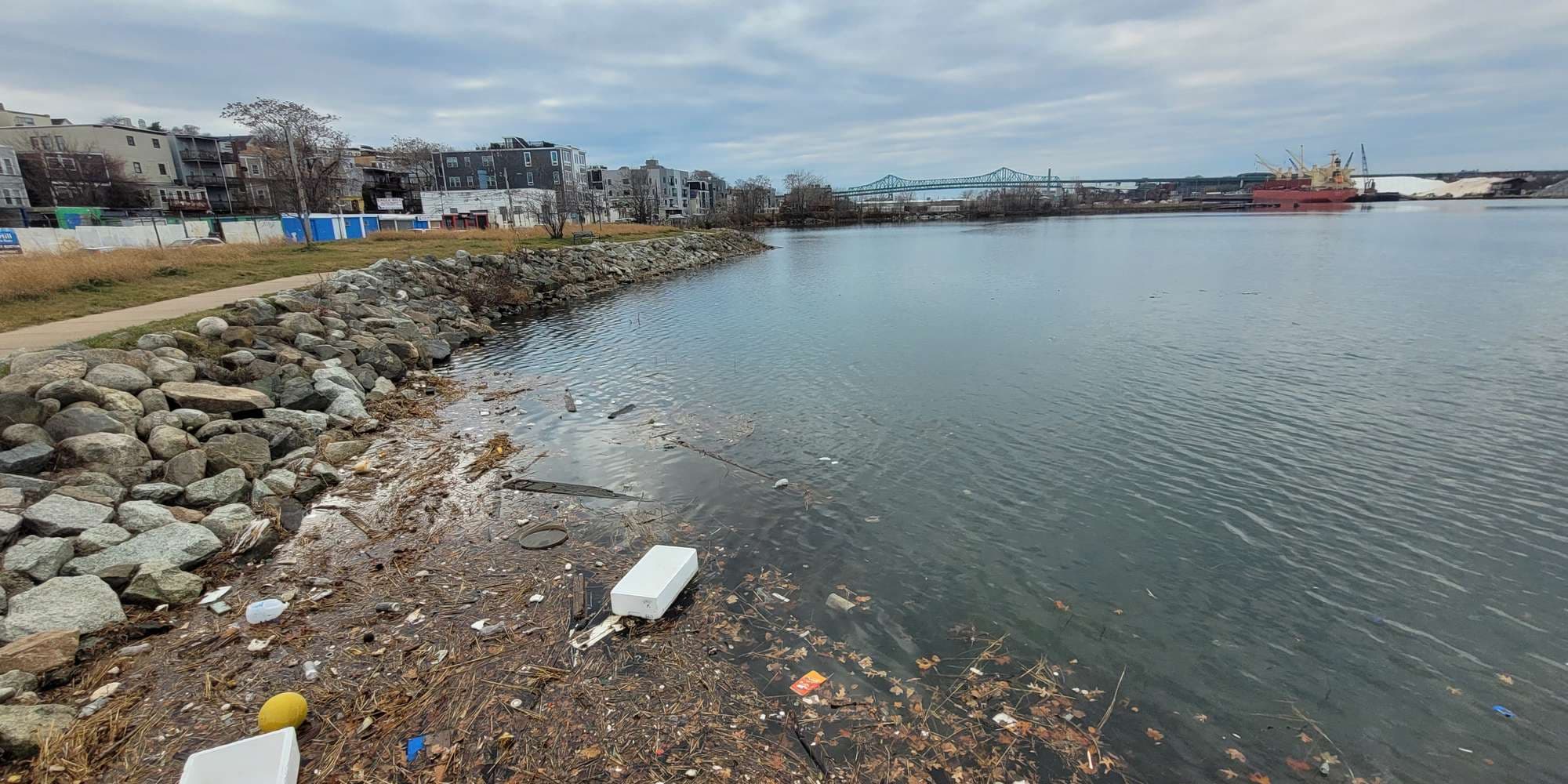 Second image to compare