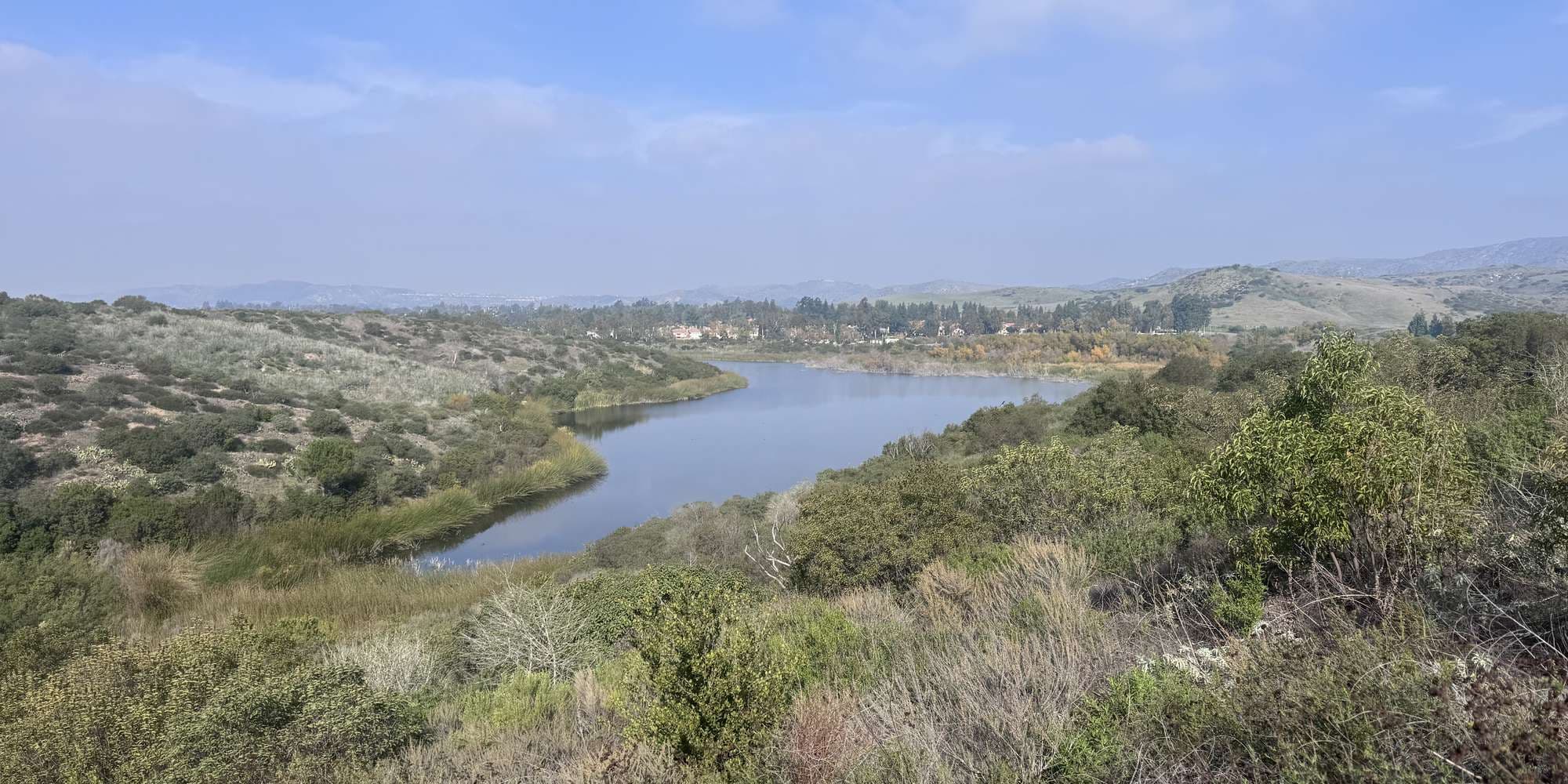 Second image to compare