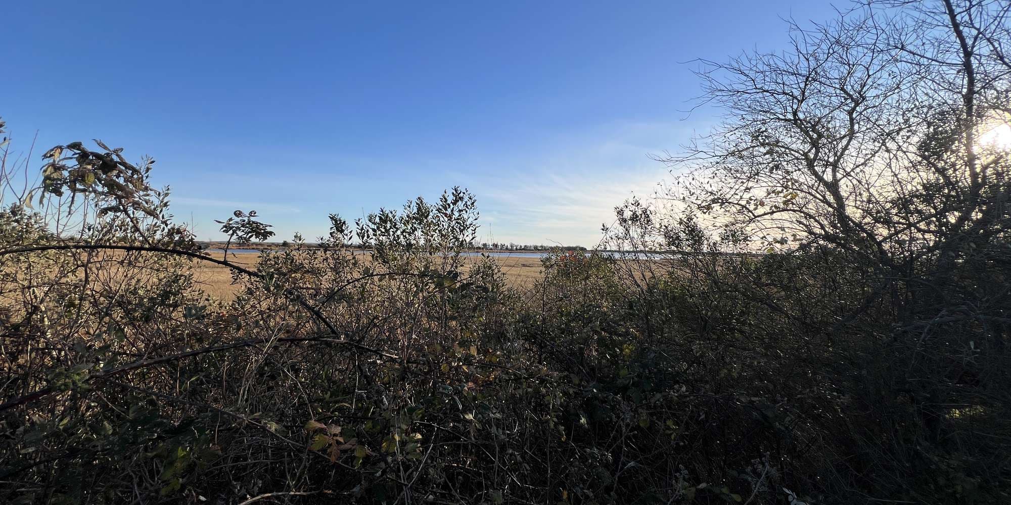 Second image to compare