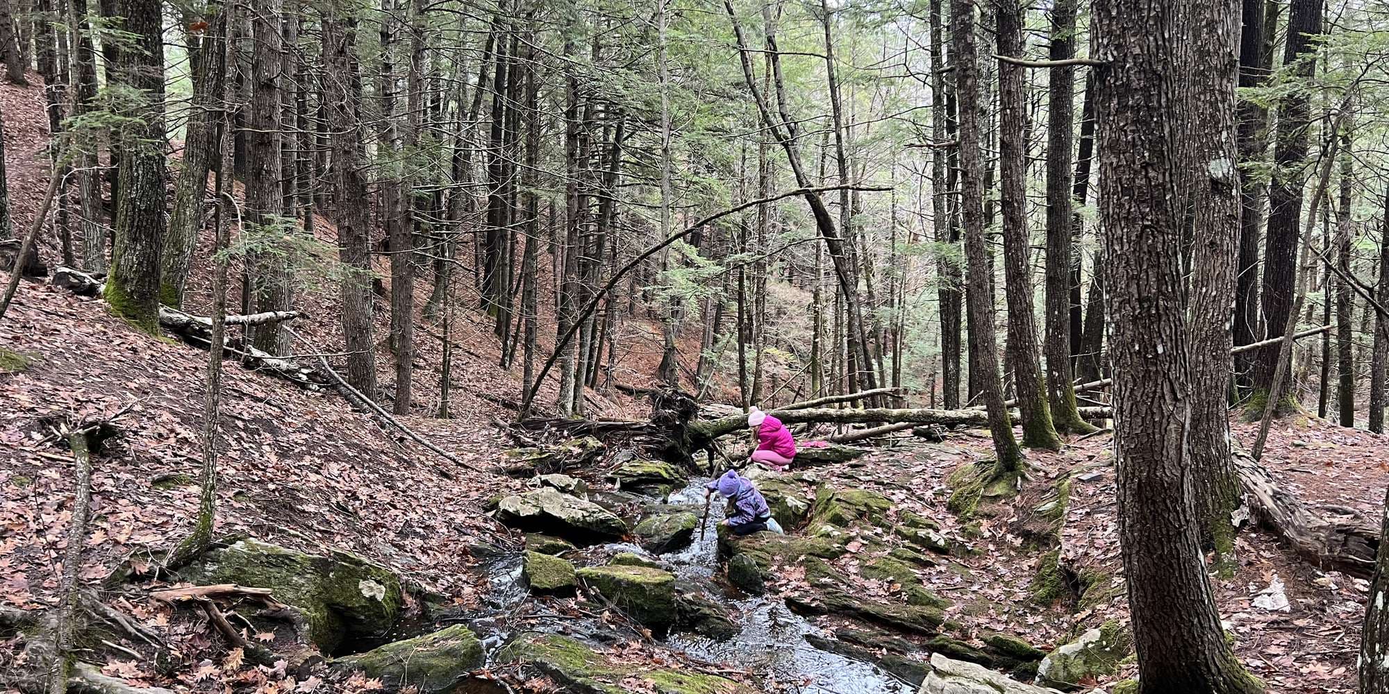 Second image to compare