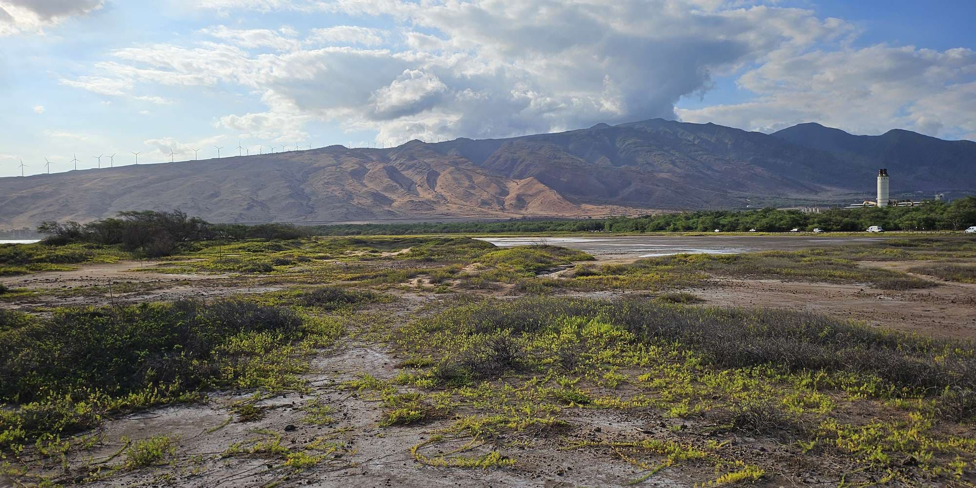 Second image to compare